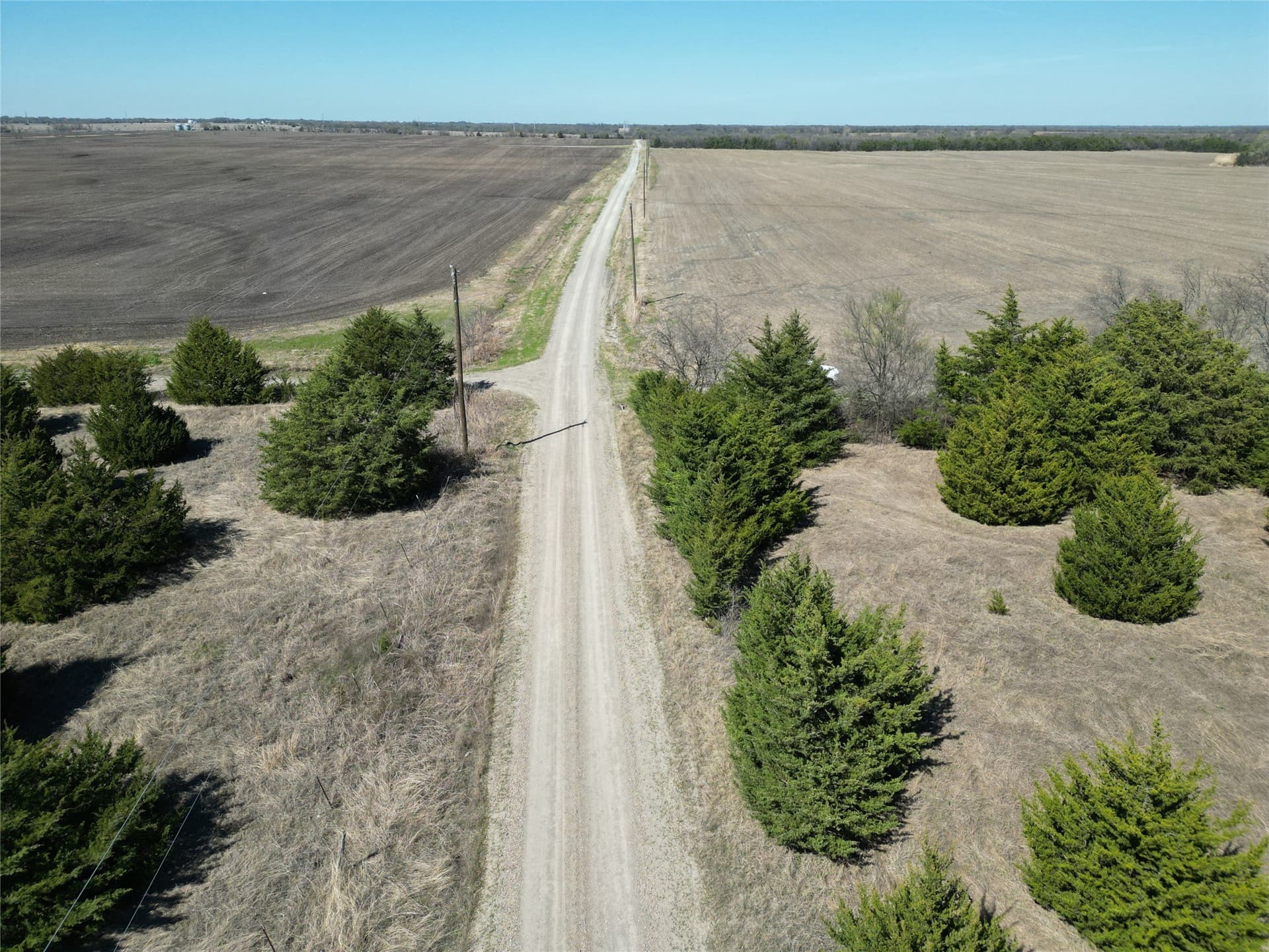 139.5 acres in Fannin County - photo 22