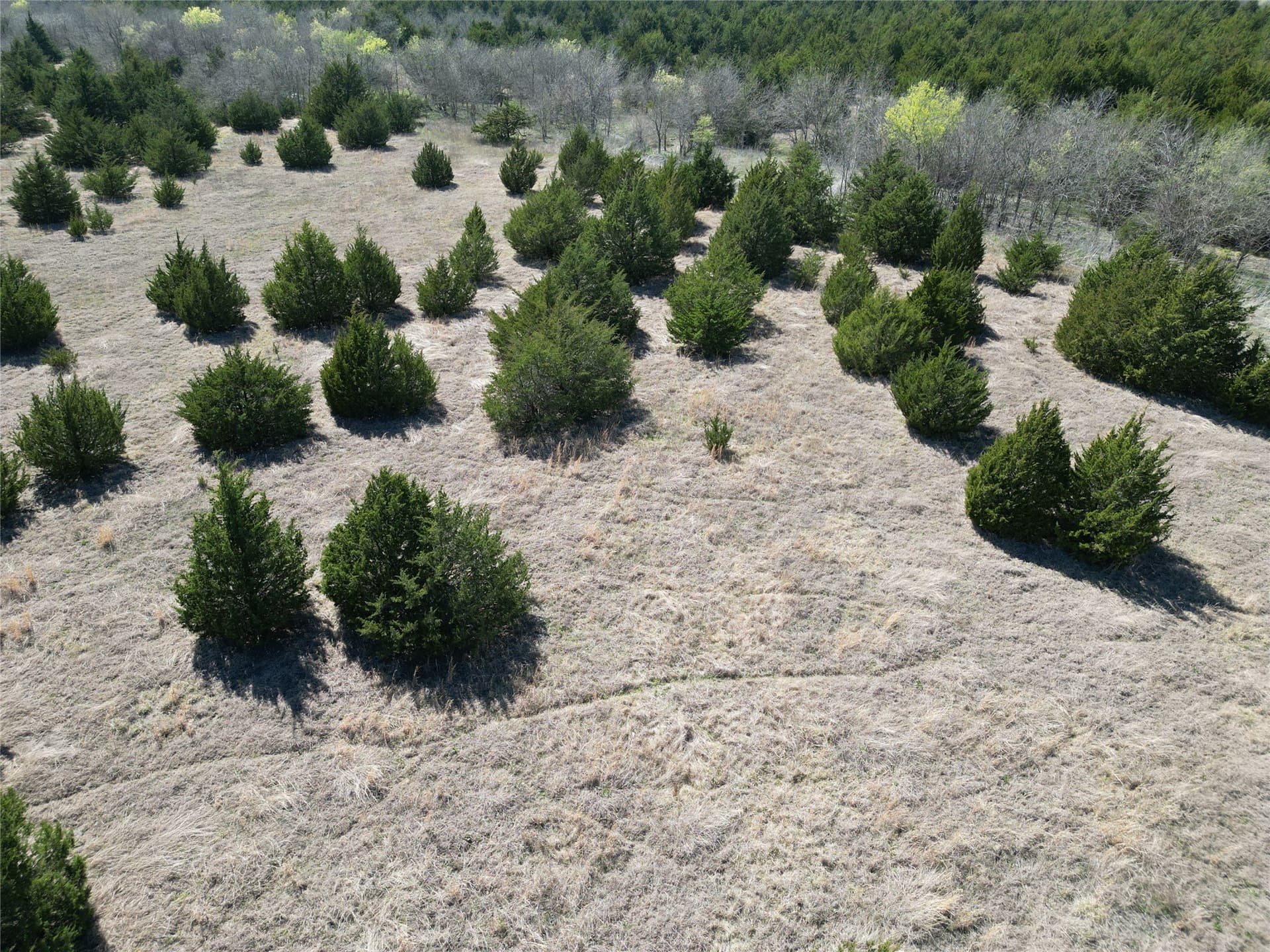 139.5 acres in Fannin County - photo 24