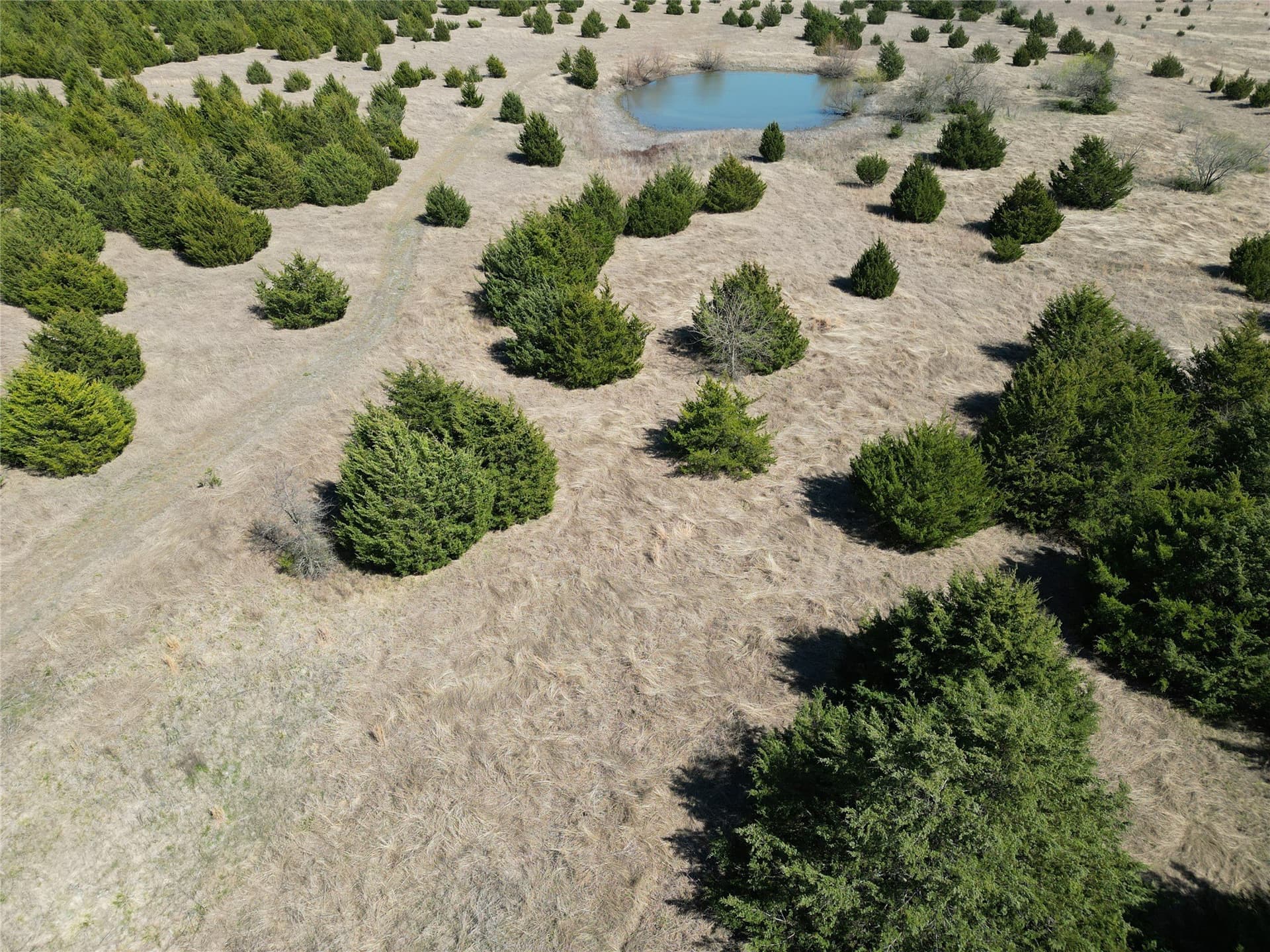 139.5 acres in Fannin County - photo 16