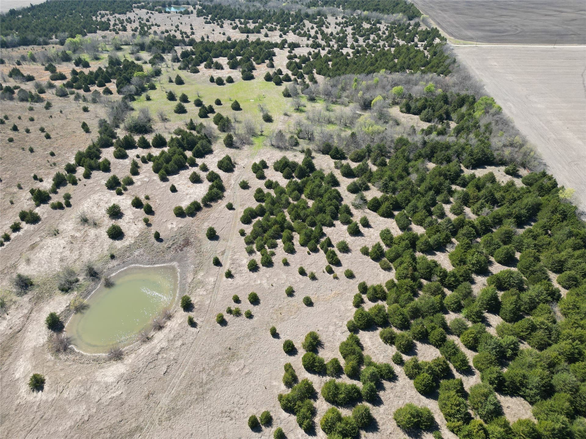139.5 acres in Fannin County - photo 11