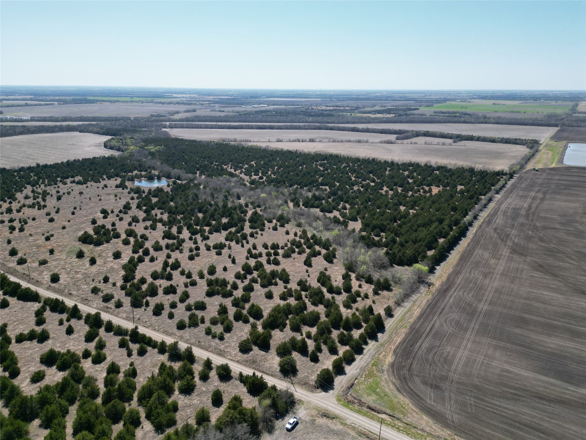 139.5 acres in Fannin County - photo 6