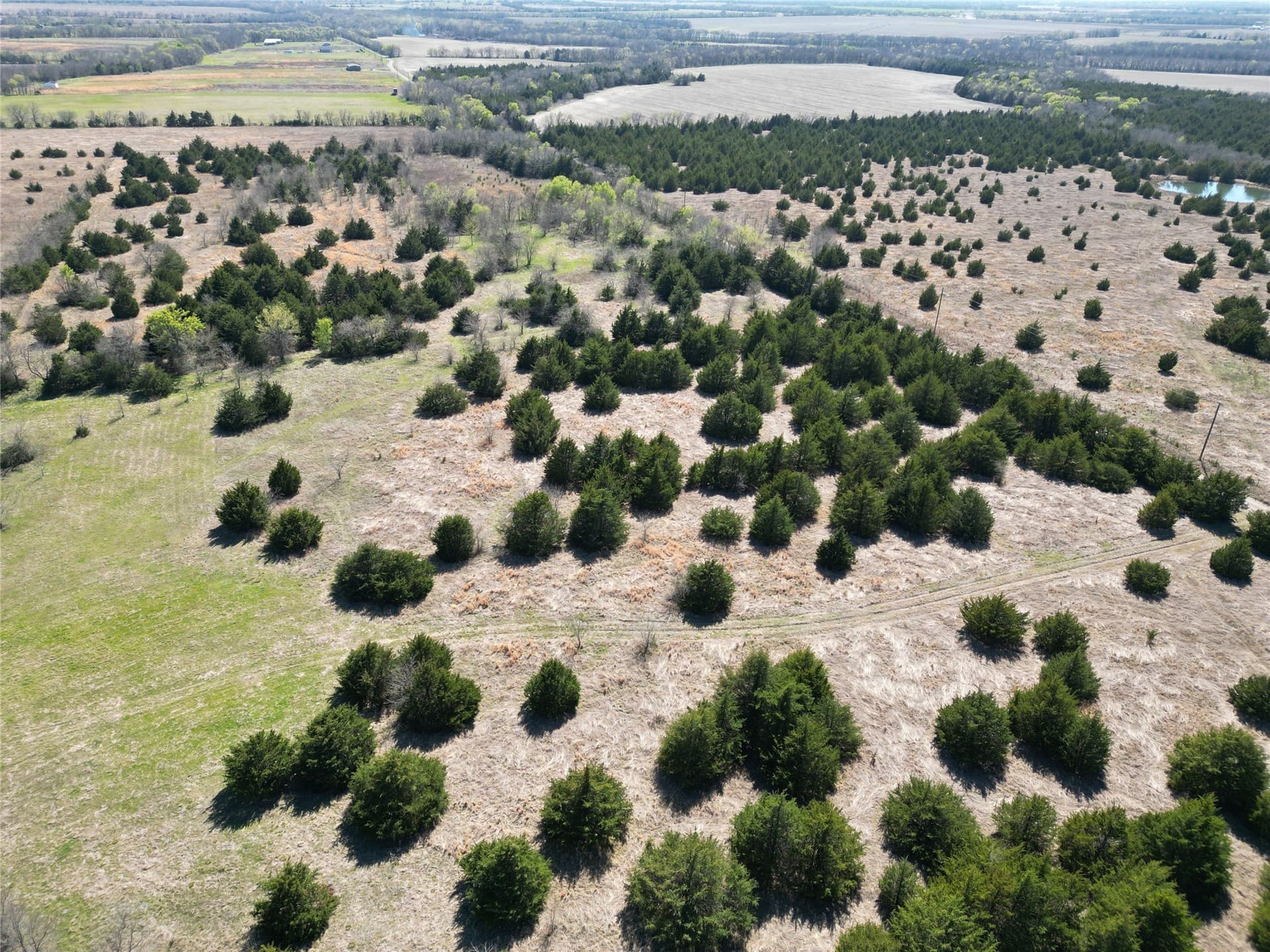 139.5 acres in Fannin County - photo 20