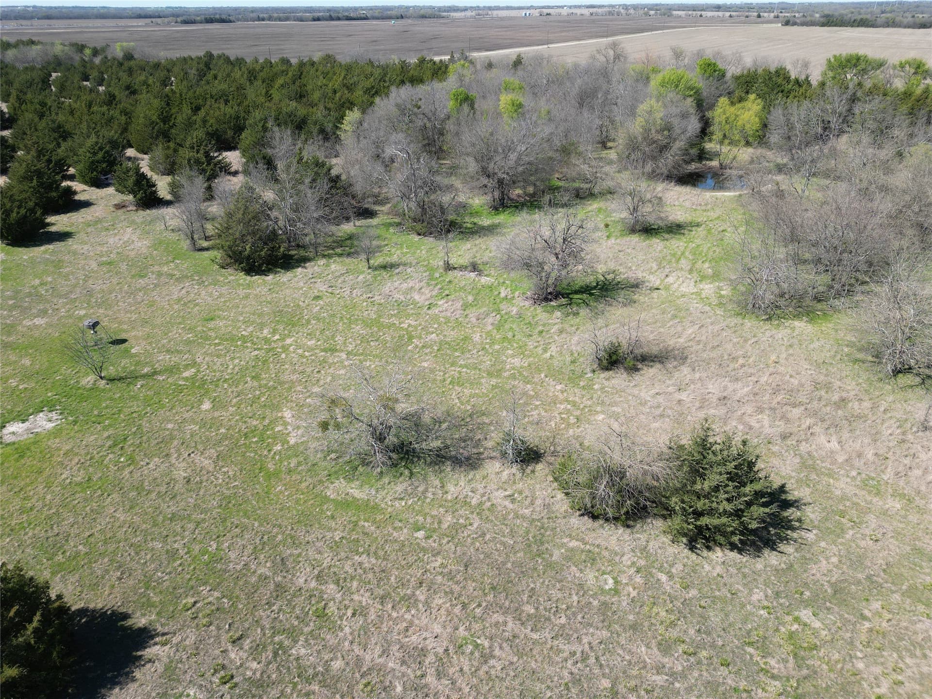 139.5 acres in Fannin County - photo 14