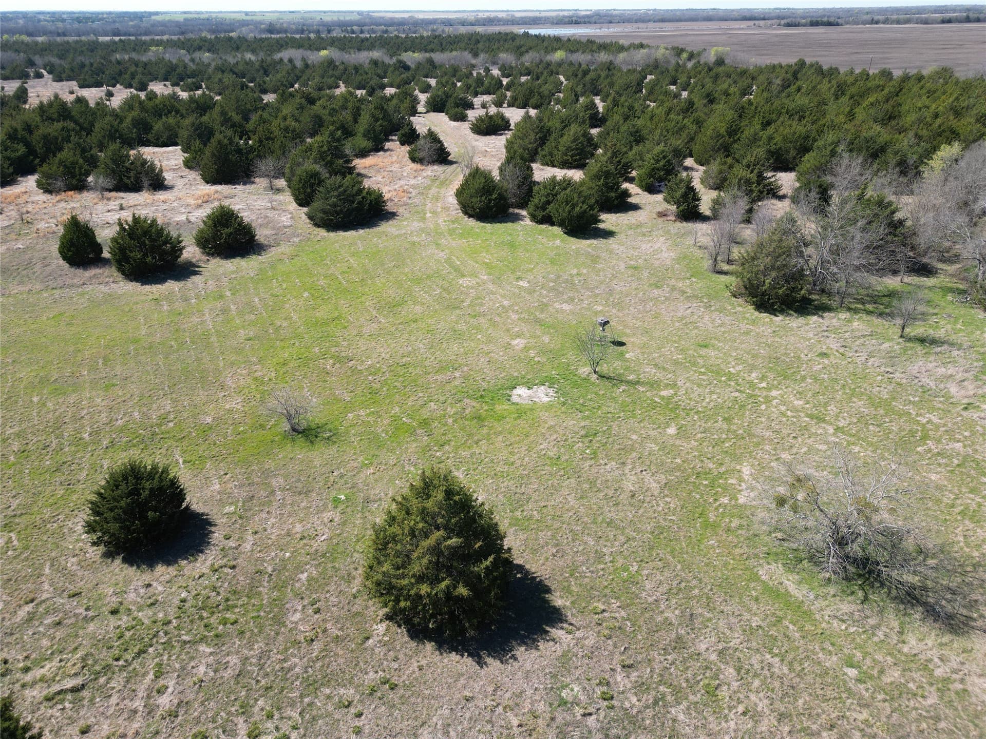 139.5 acres in Fannin County - photo 13