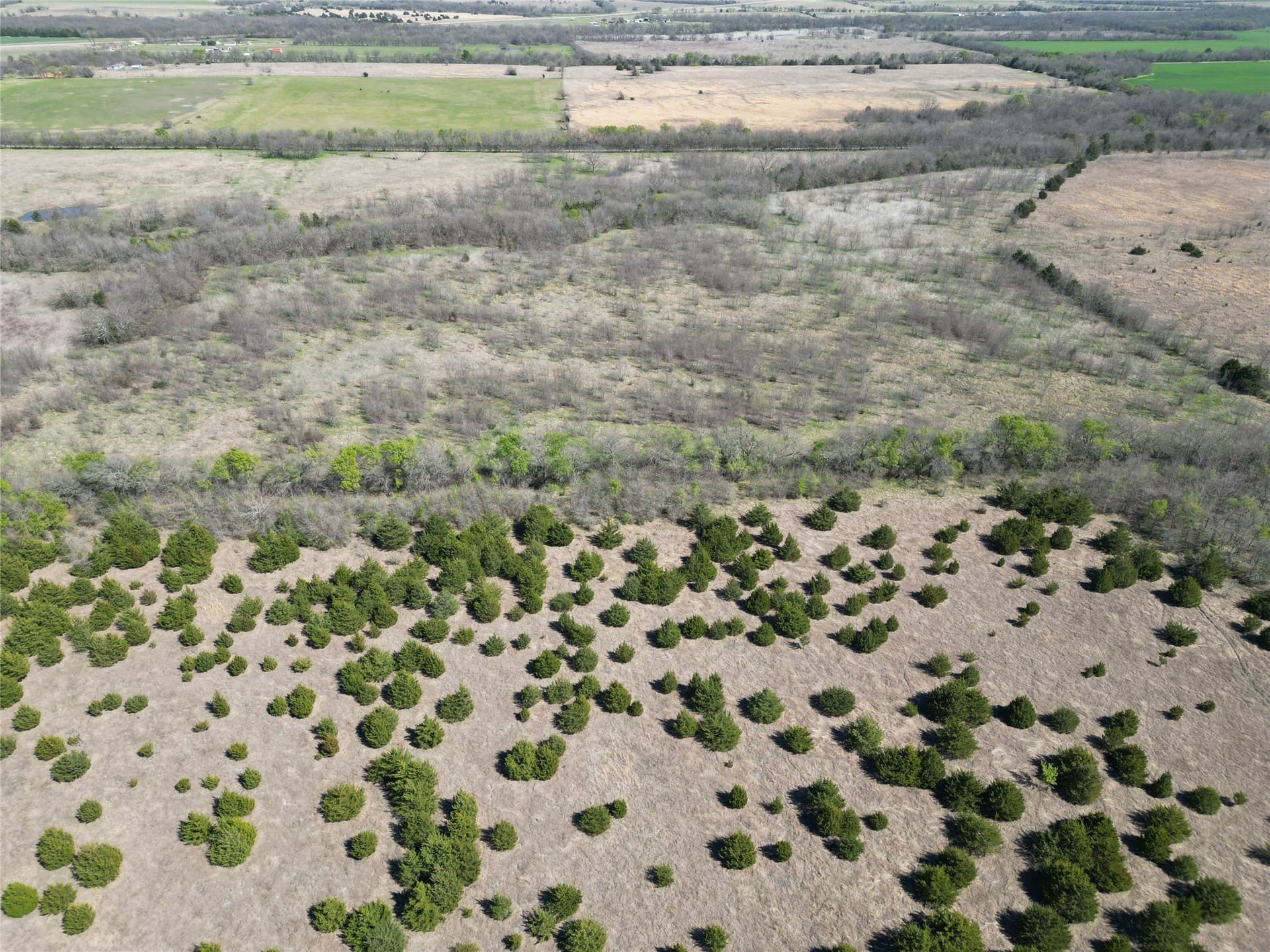 139.5 acres in Fannin County - photo 10