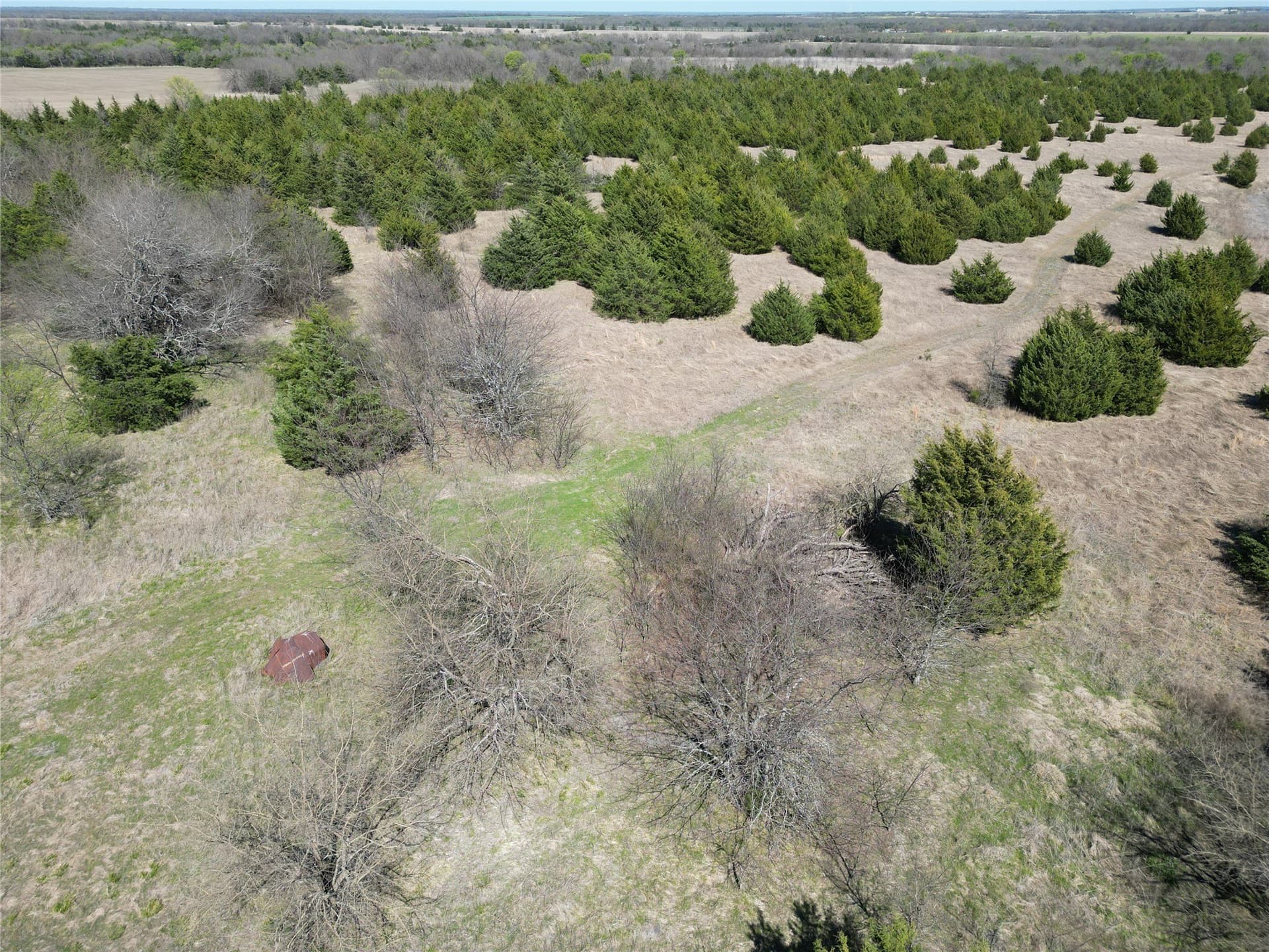 139.5 acres in Fannin County - photo 15