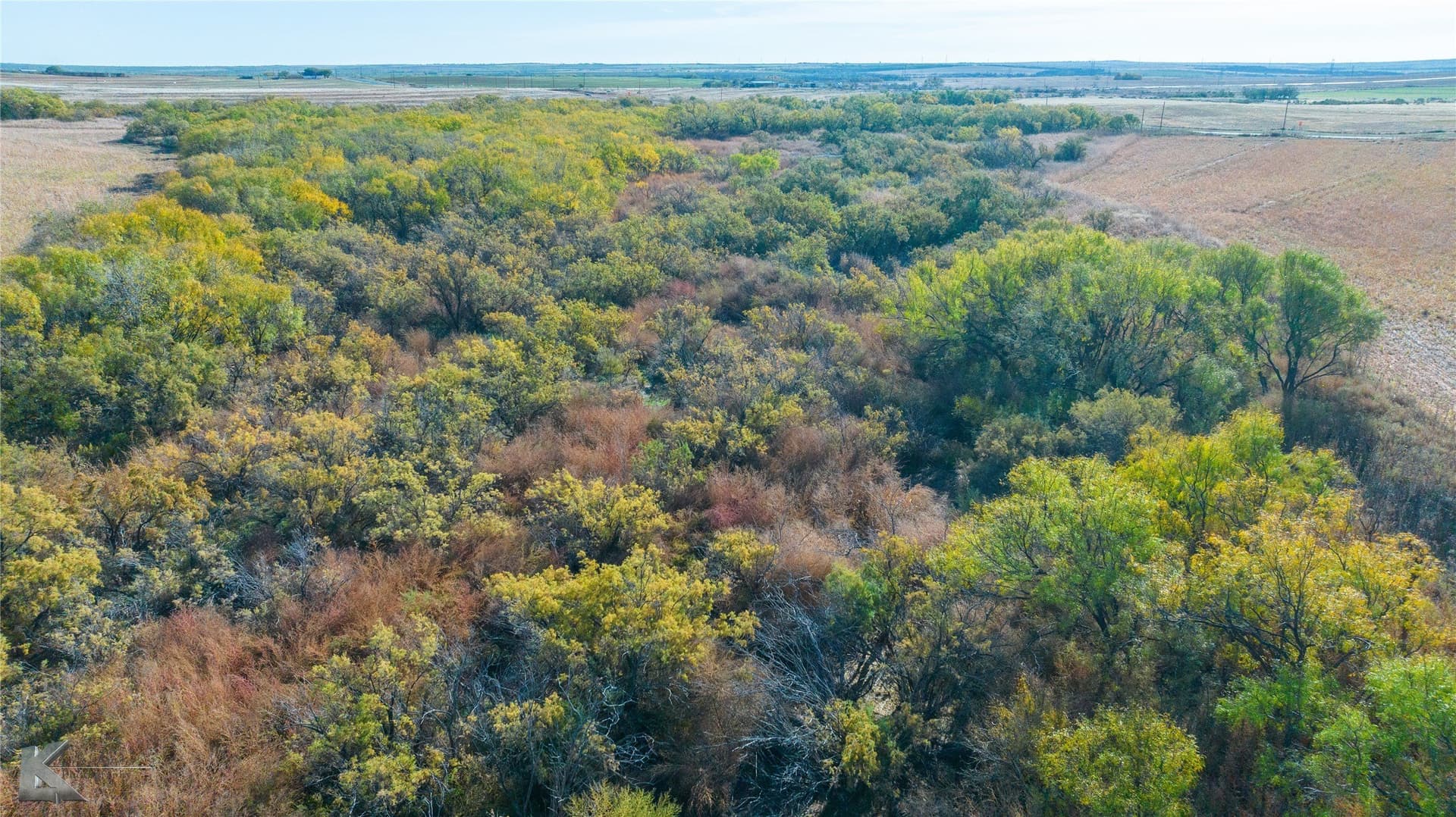 160 acres in Fisher County - photo 22