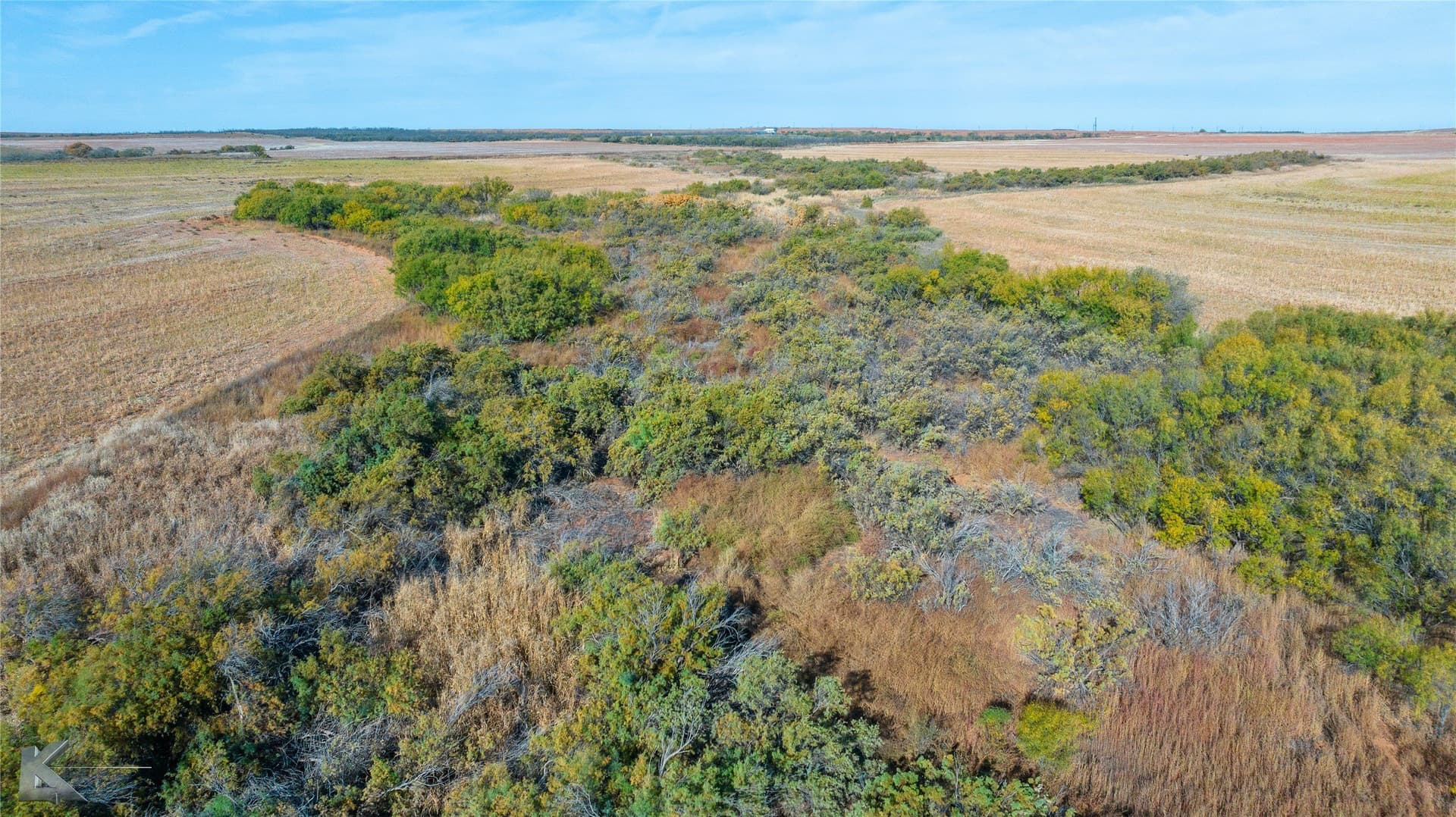 160 acres in Fisher County - photo 23