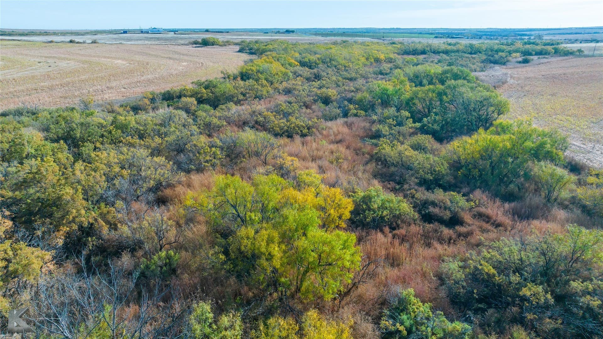 160 acres in Fisher County - photo 21