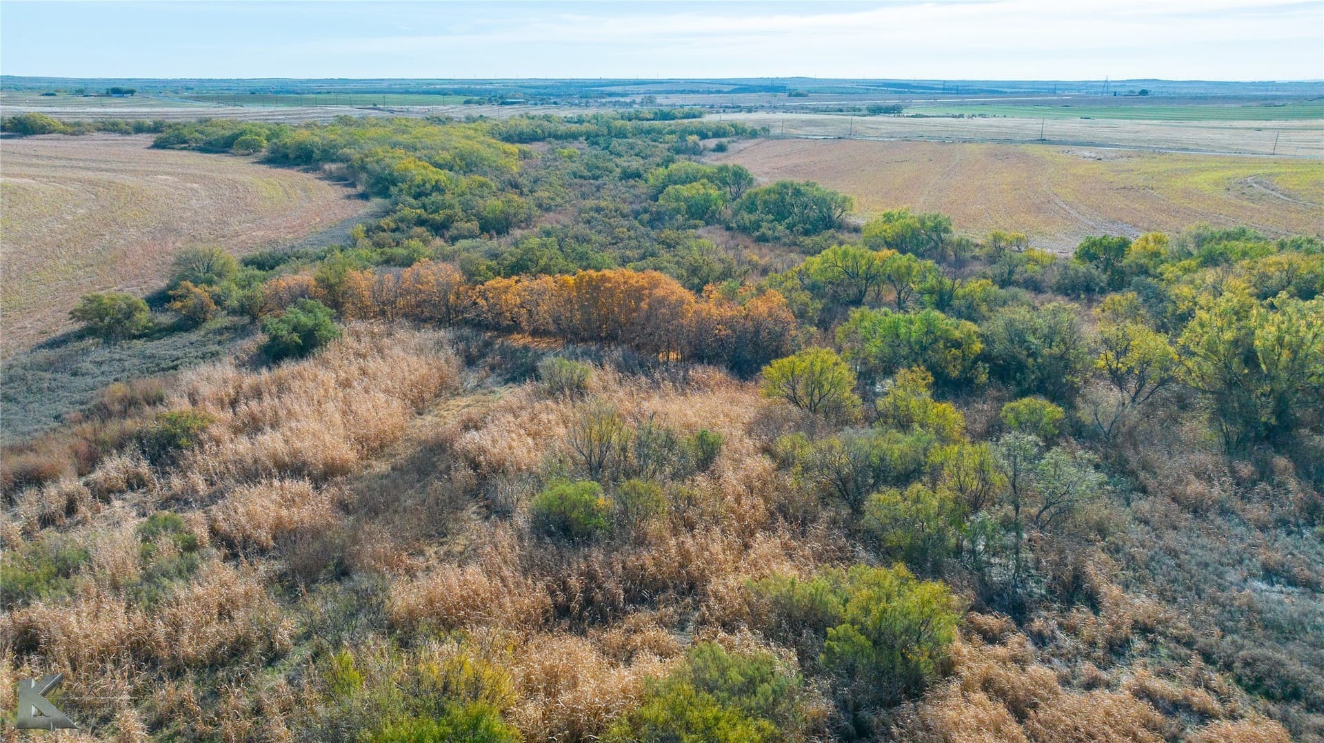 160 acres in Fisher County