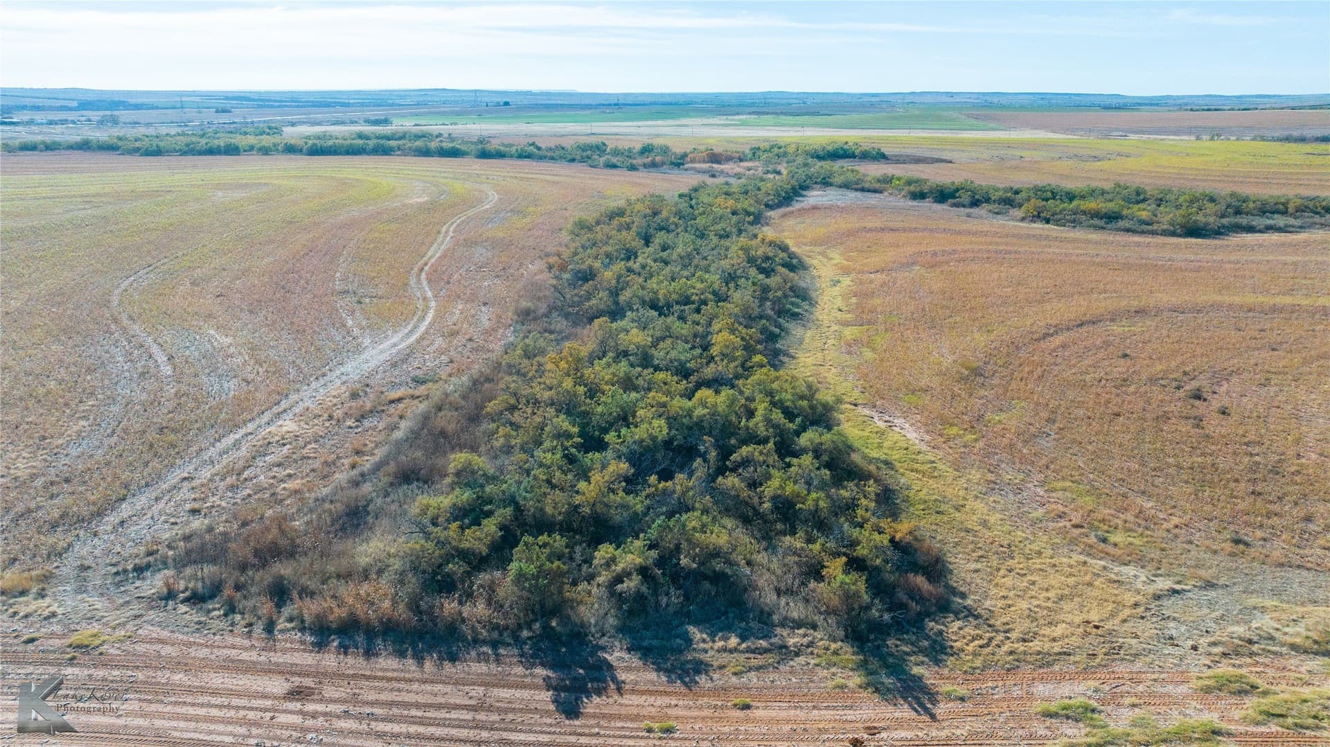 160 acres in Fisher County - photo 11