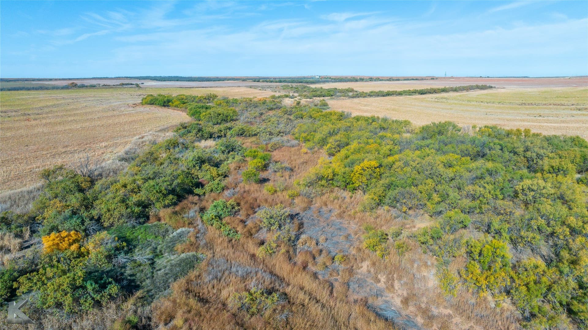 160 acres in Fisher County - photo 24