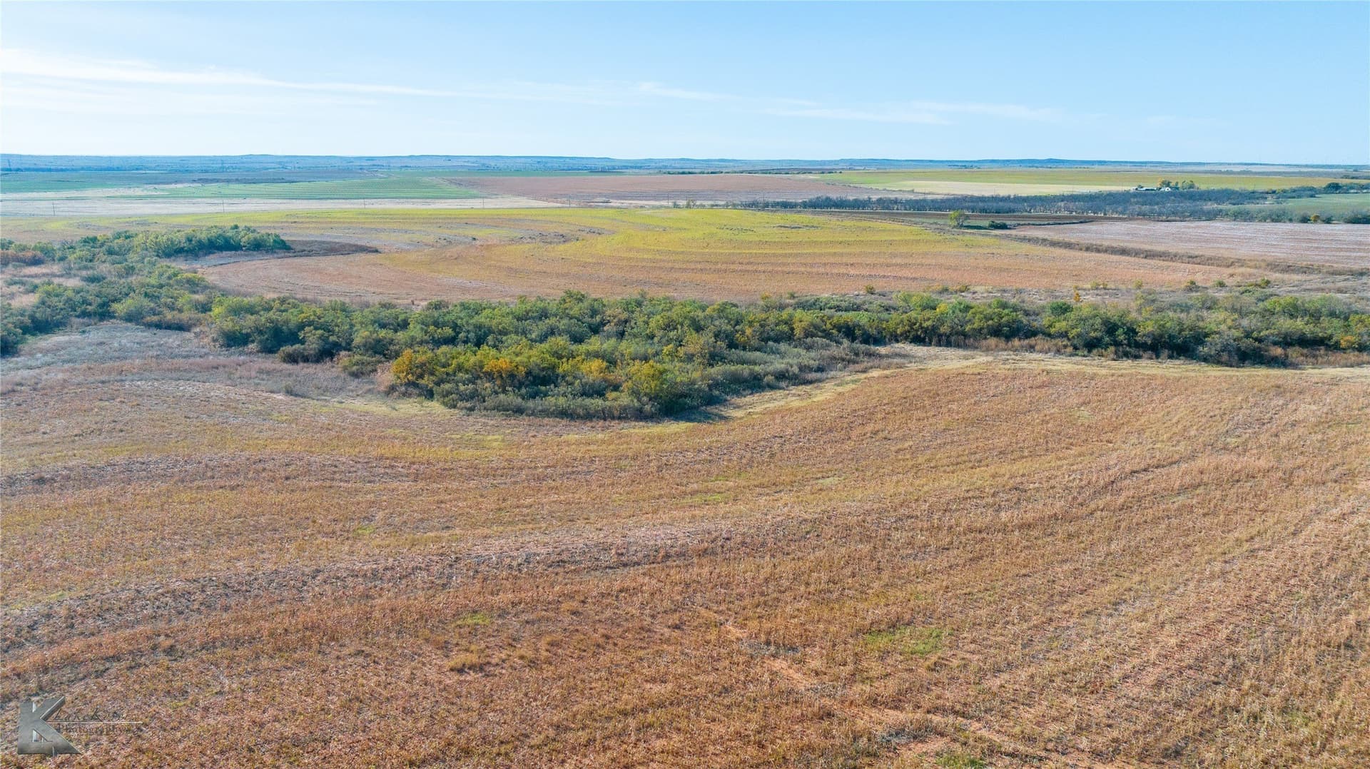 160 acres in Fisher County - photo 12