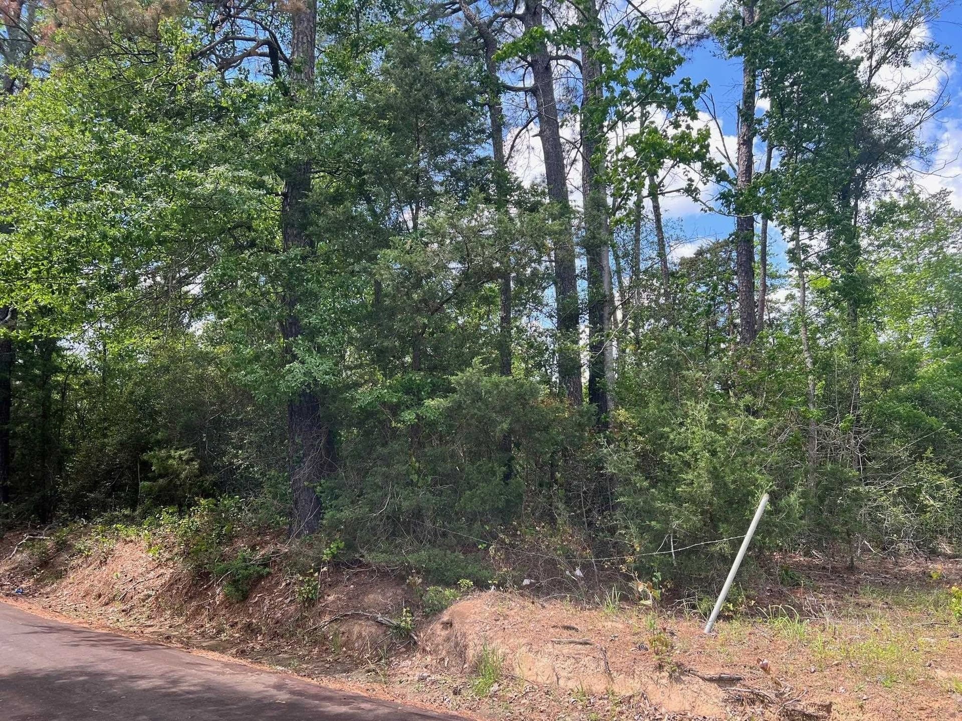 46.63 acres in Shelby County featured view