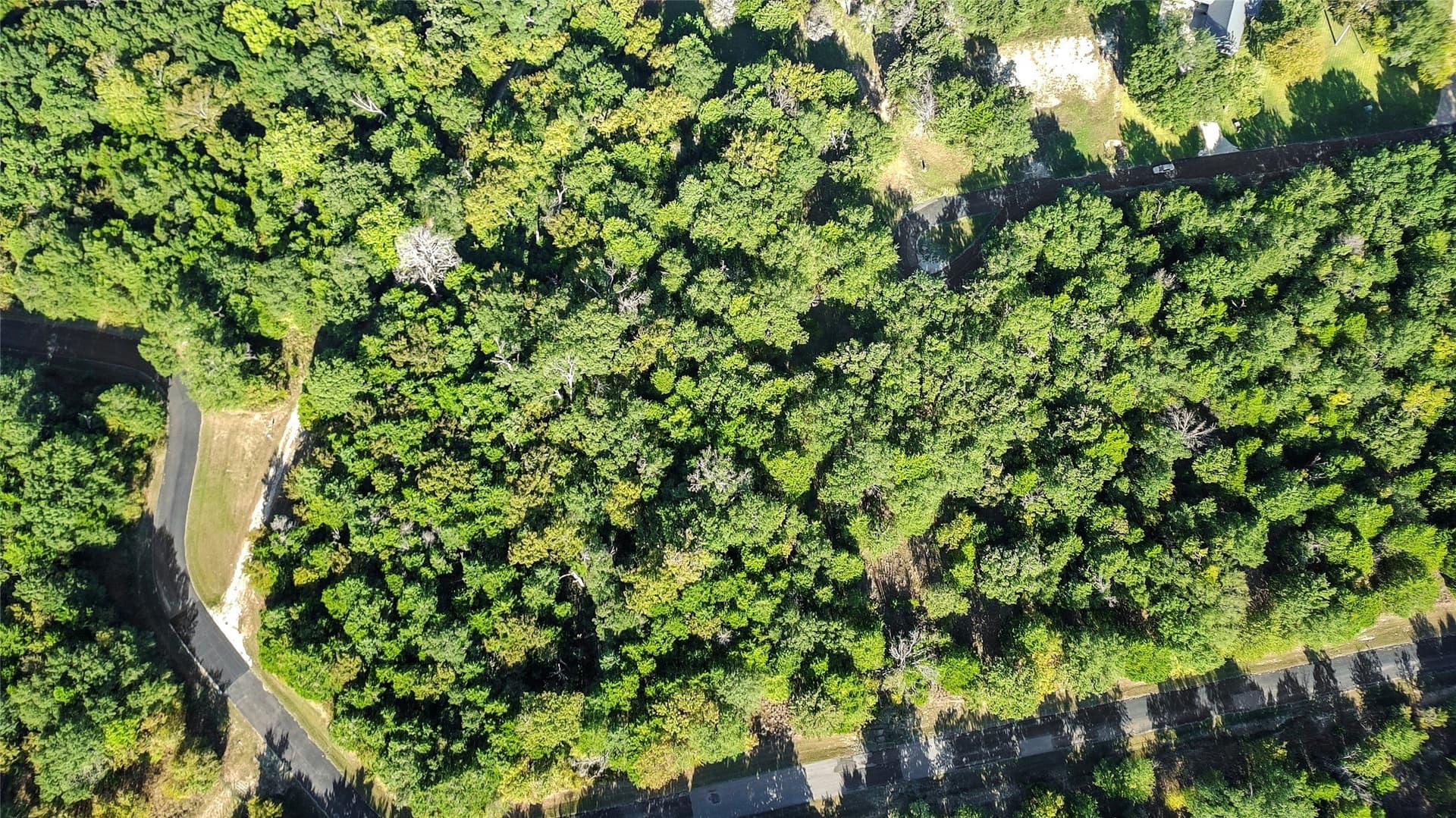 1.02 acres in Freestone County - photo 6