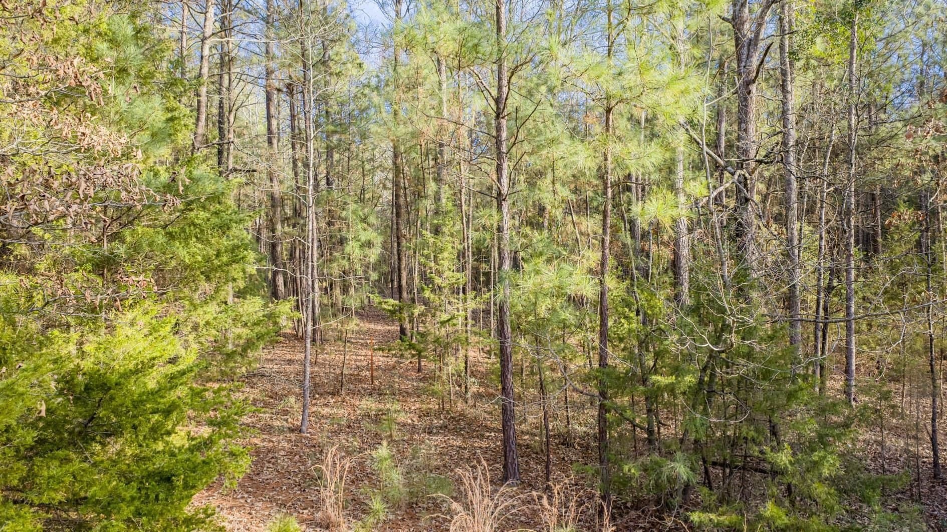 9.42 acres in Marion County featured view