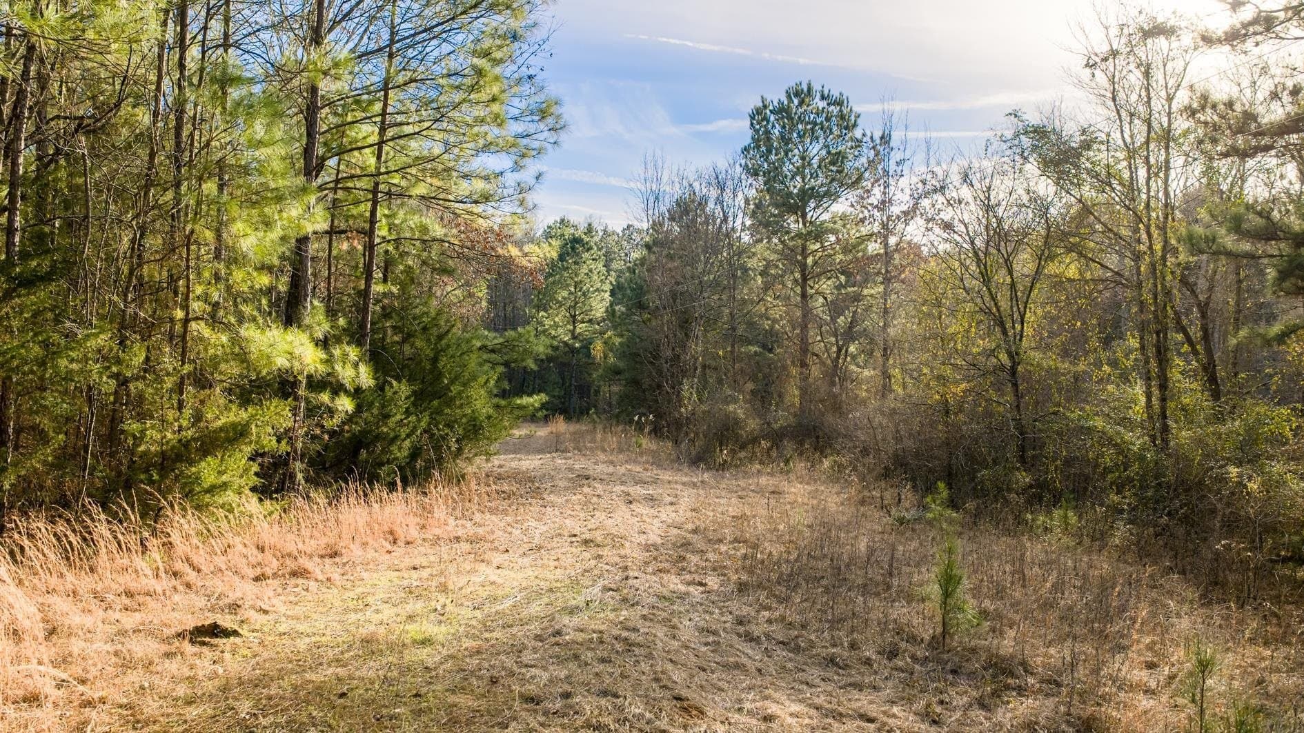 9.42 acres in Marion County gallery image 4