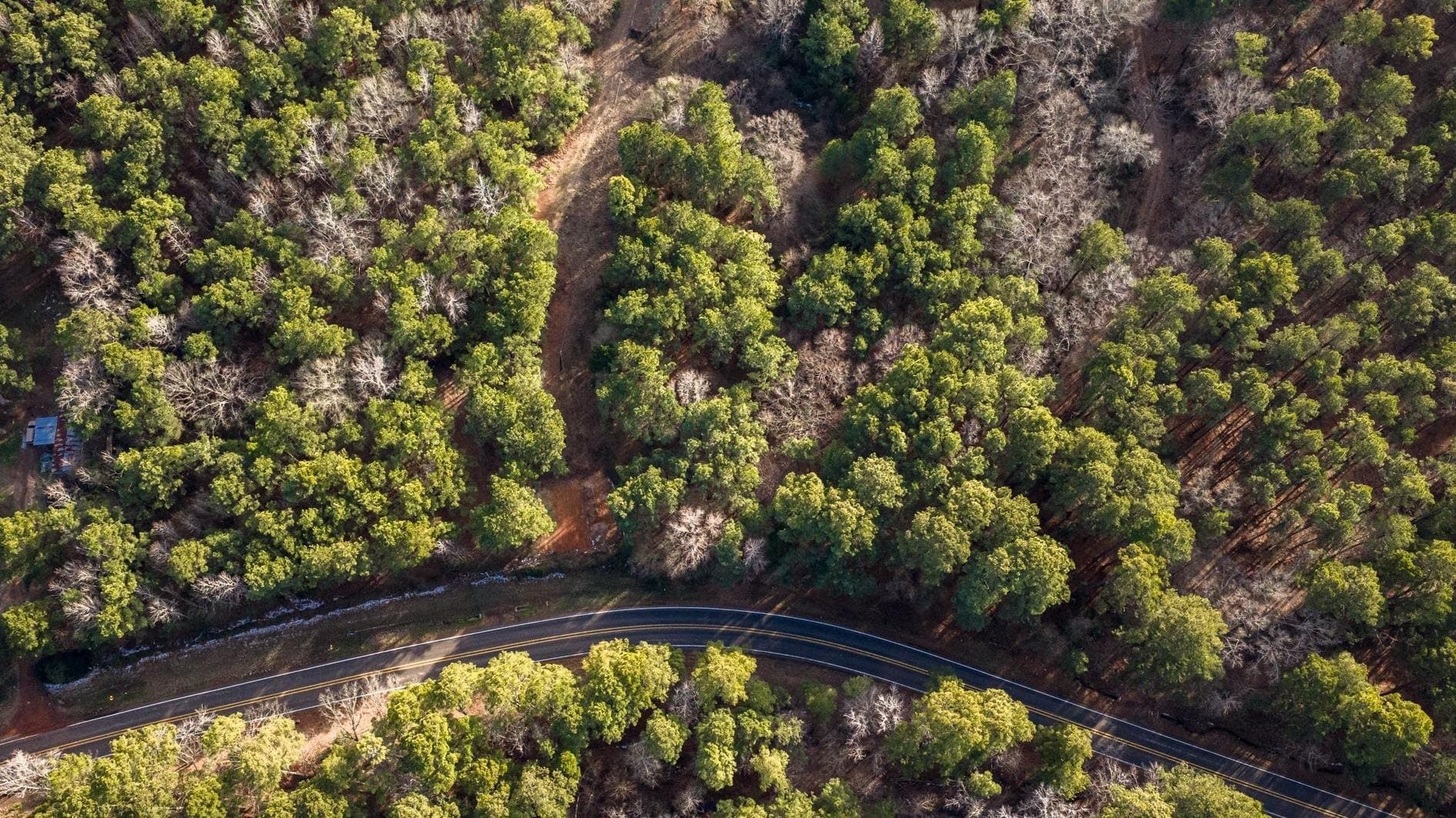 9.42 acres in Marion County gallery image 3