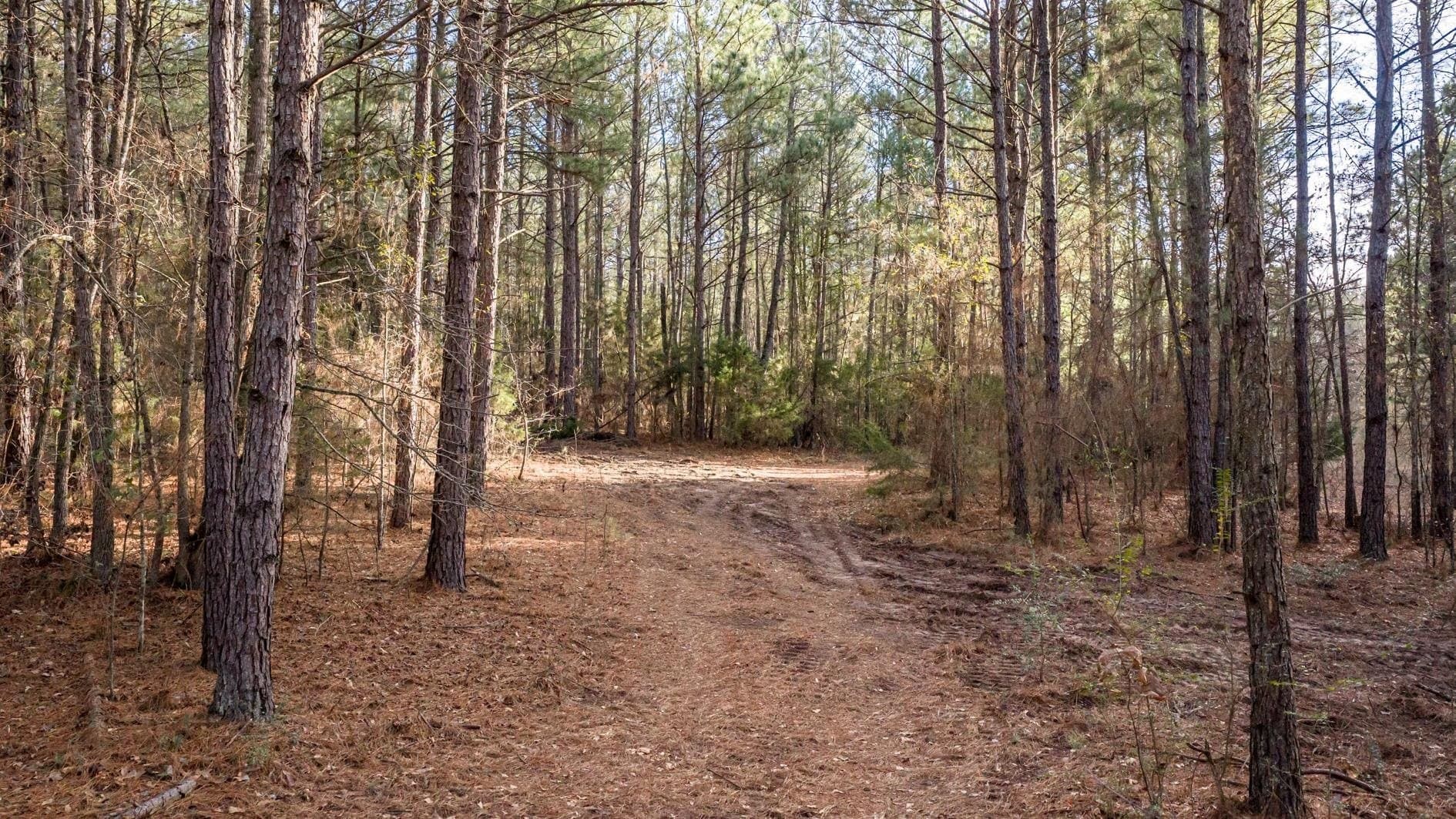 9.42 acres in Marion County