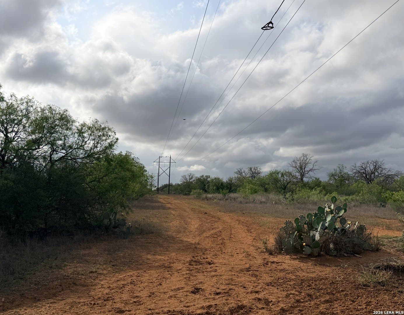 101.58 acres in Atascosa County gallery image 2