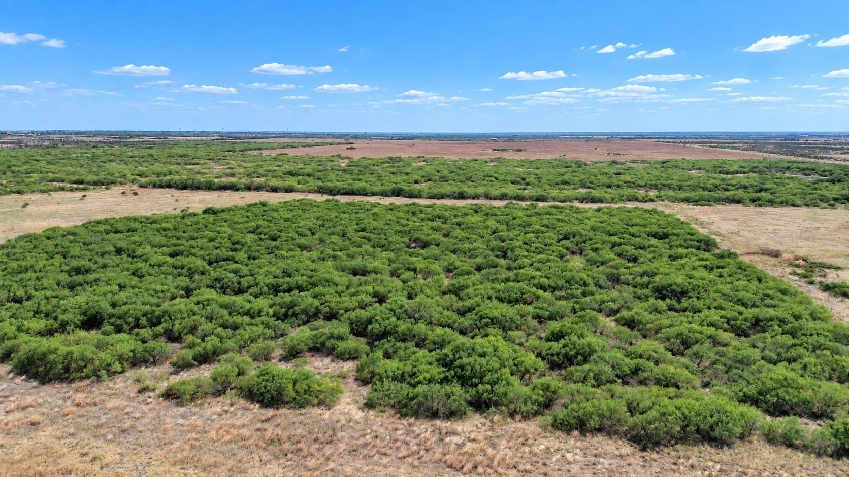 26 acres in Archer County - photo 5