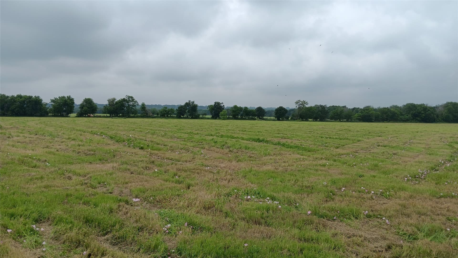 19.2 acres in Falls County - photo 7