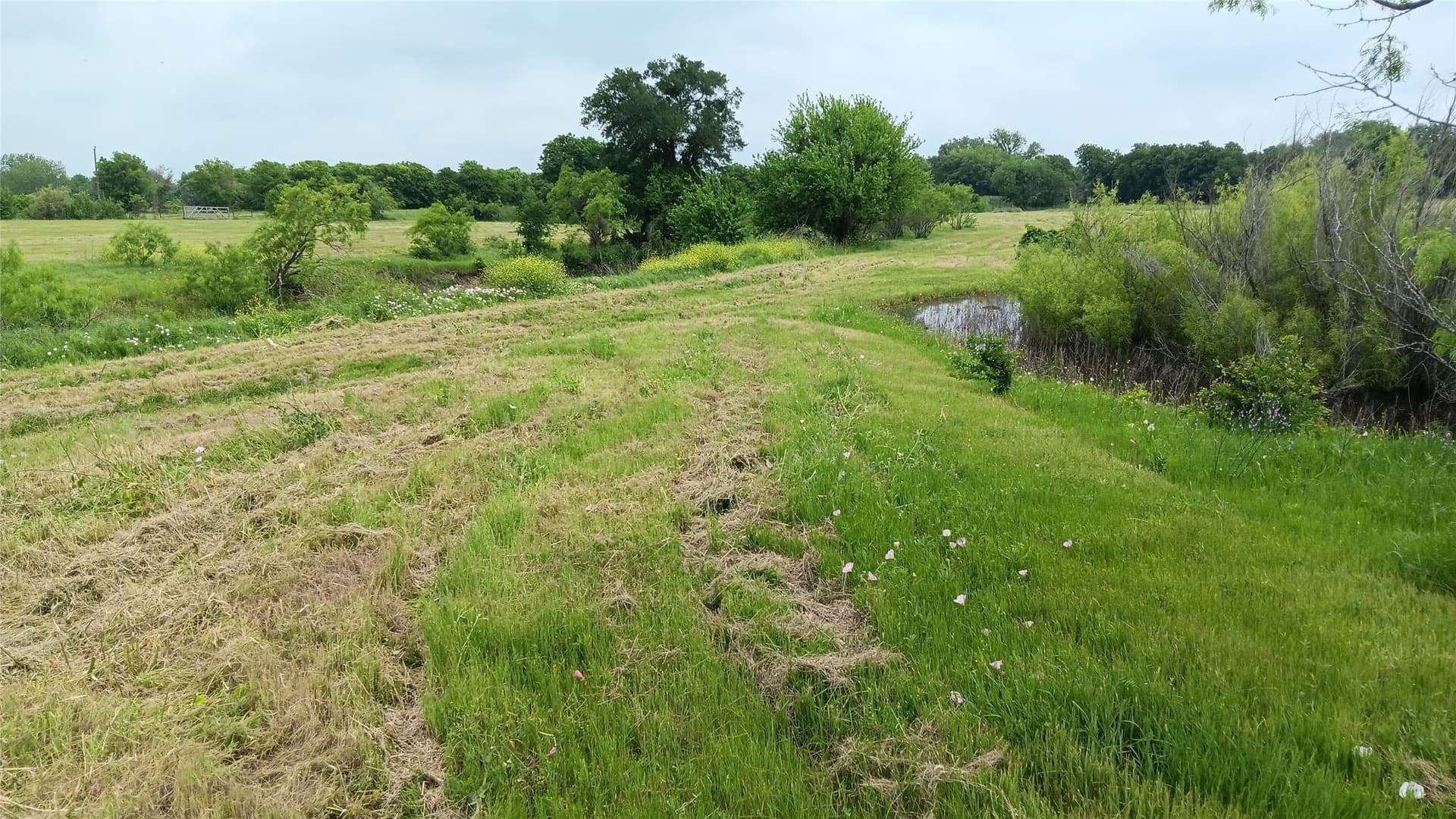 19.2 acres in Falls County - photo 3