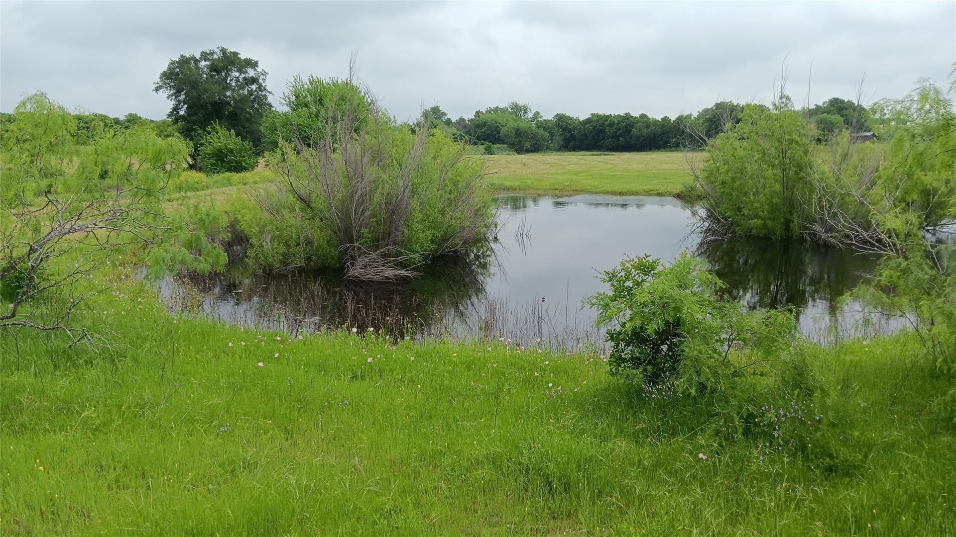 19.2 acres in Falls County