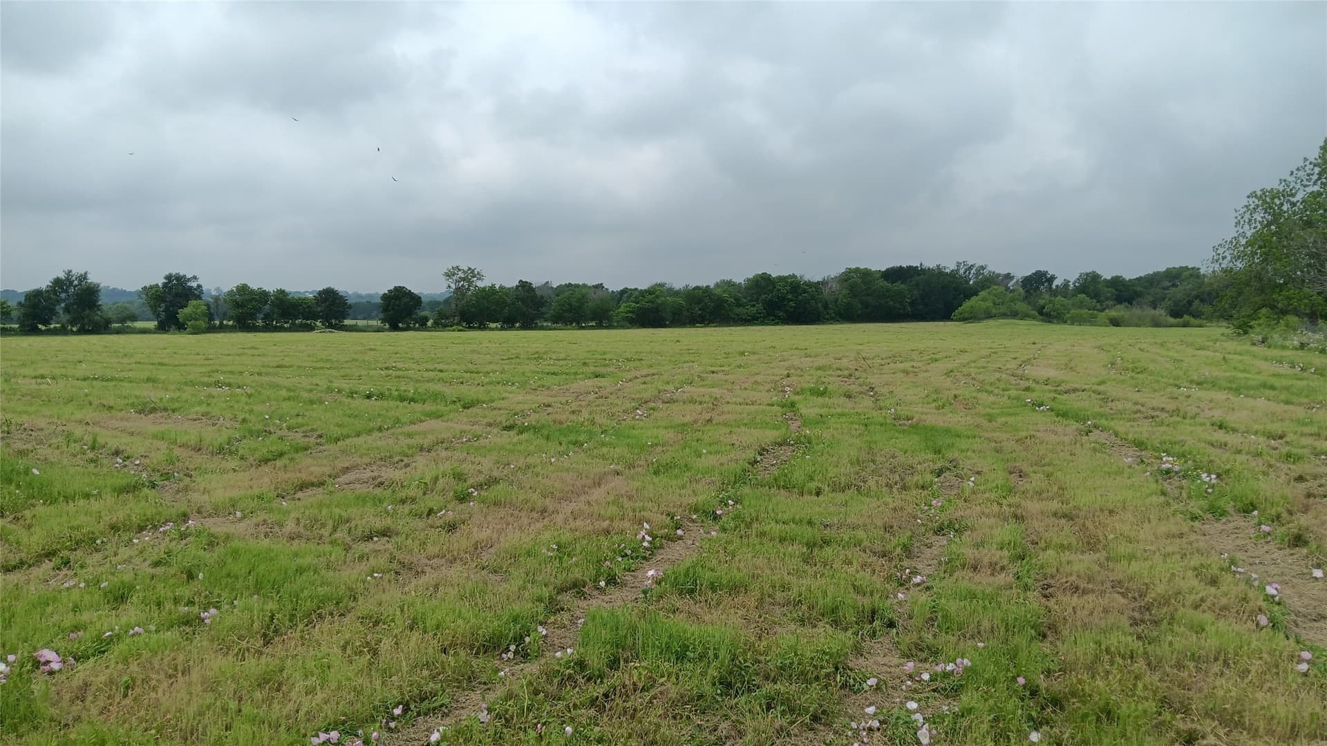 19.2 acres in Falls County - photo 4