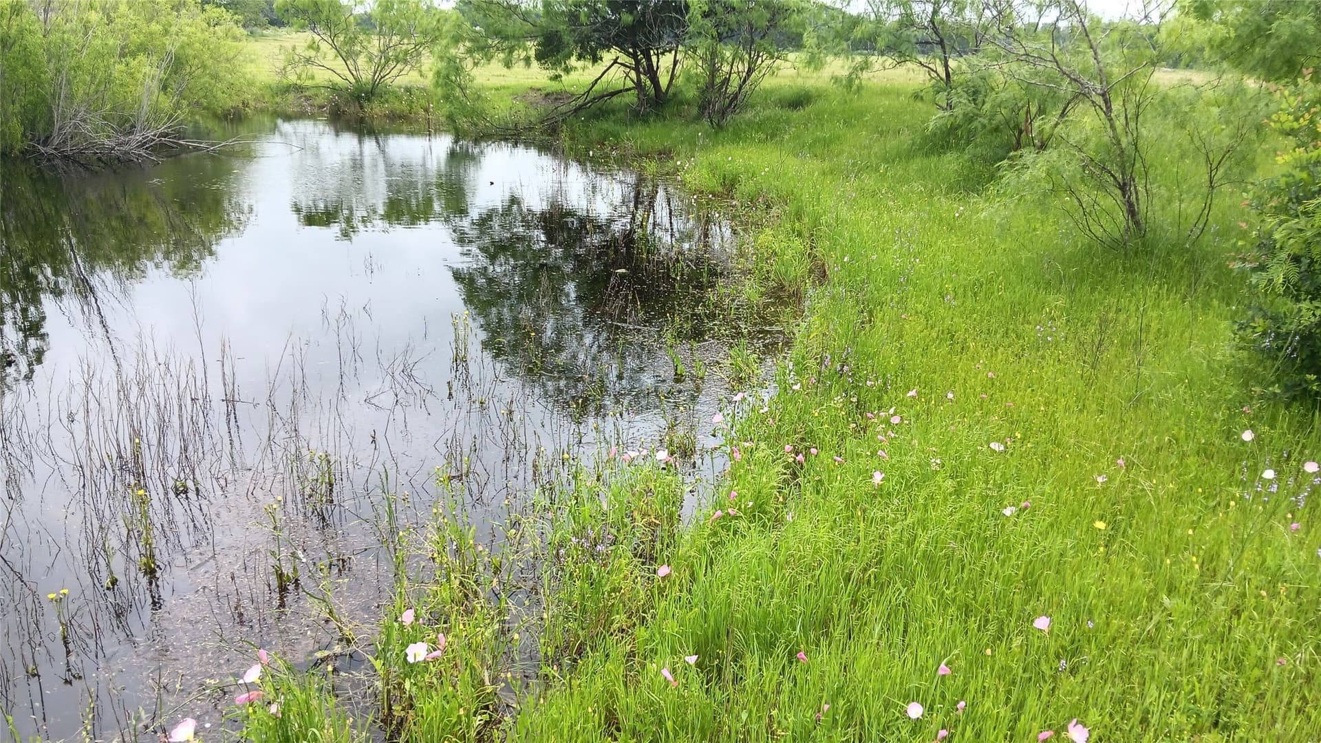 19.2 acres in Falls County - photo 2