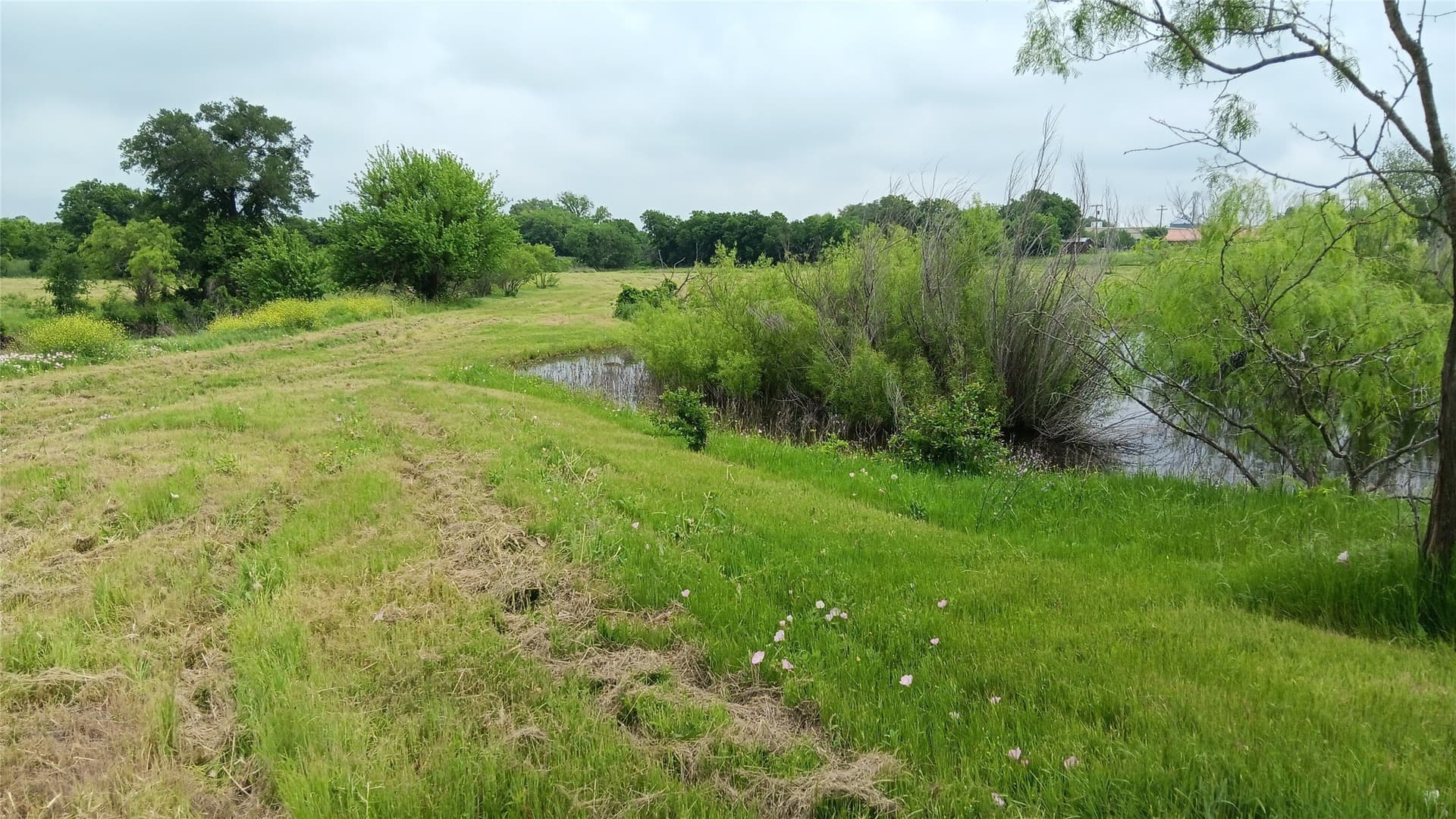 19.2 acres in Falls County - photo 5