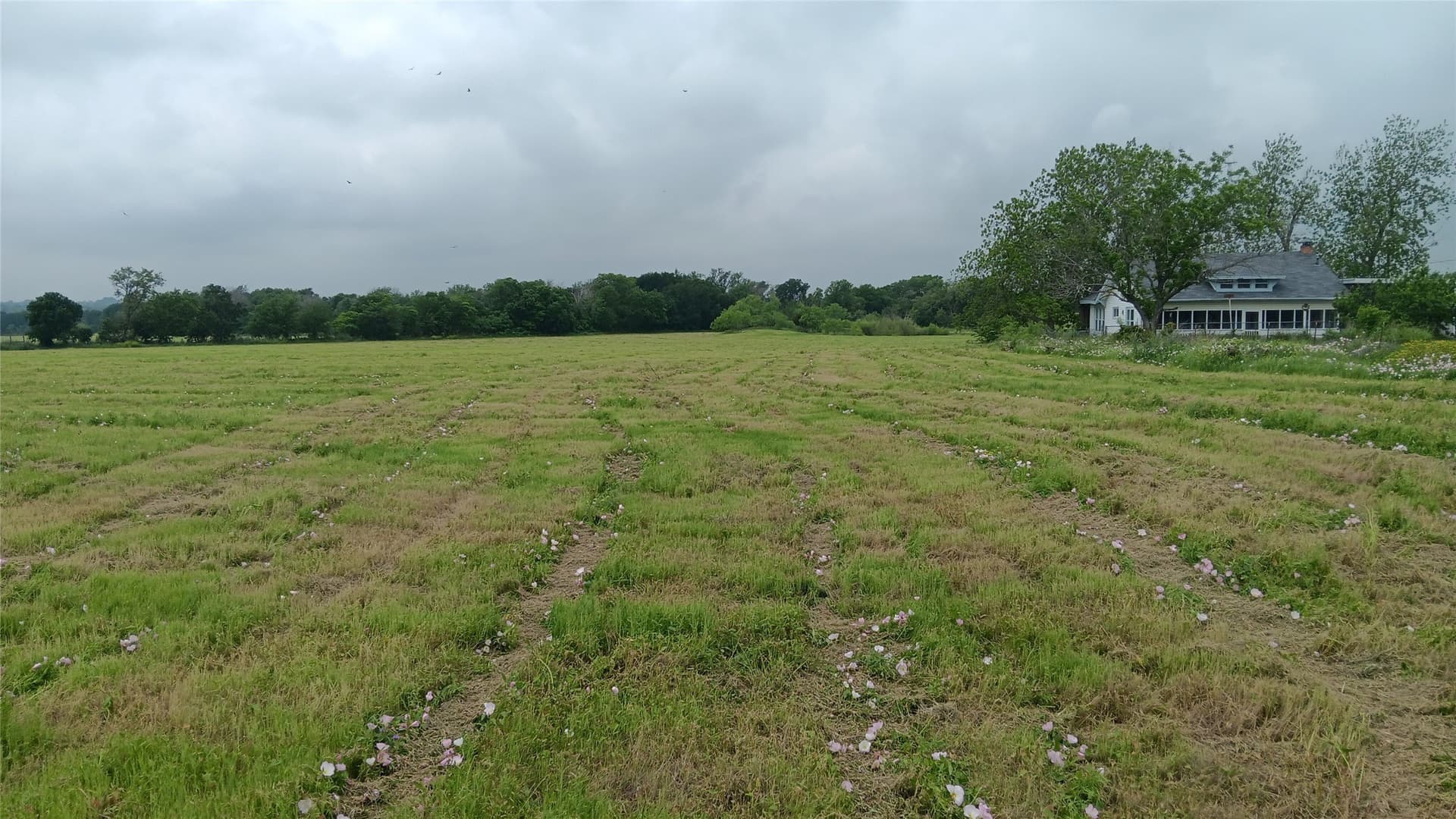 19.2 acres in Falls County - photo 8