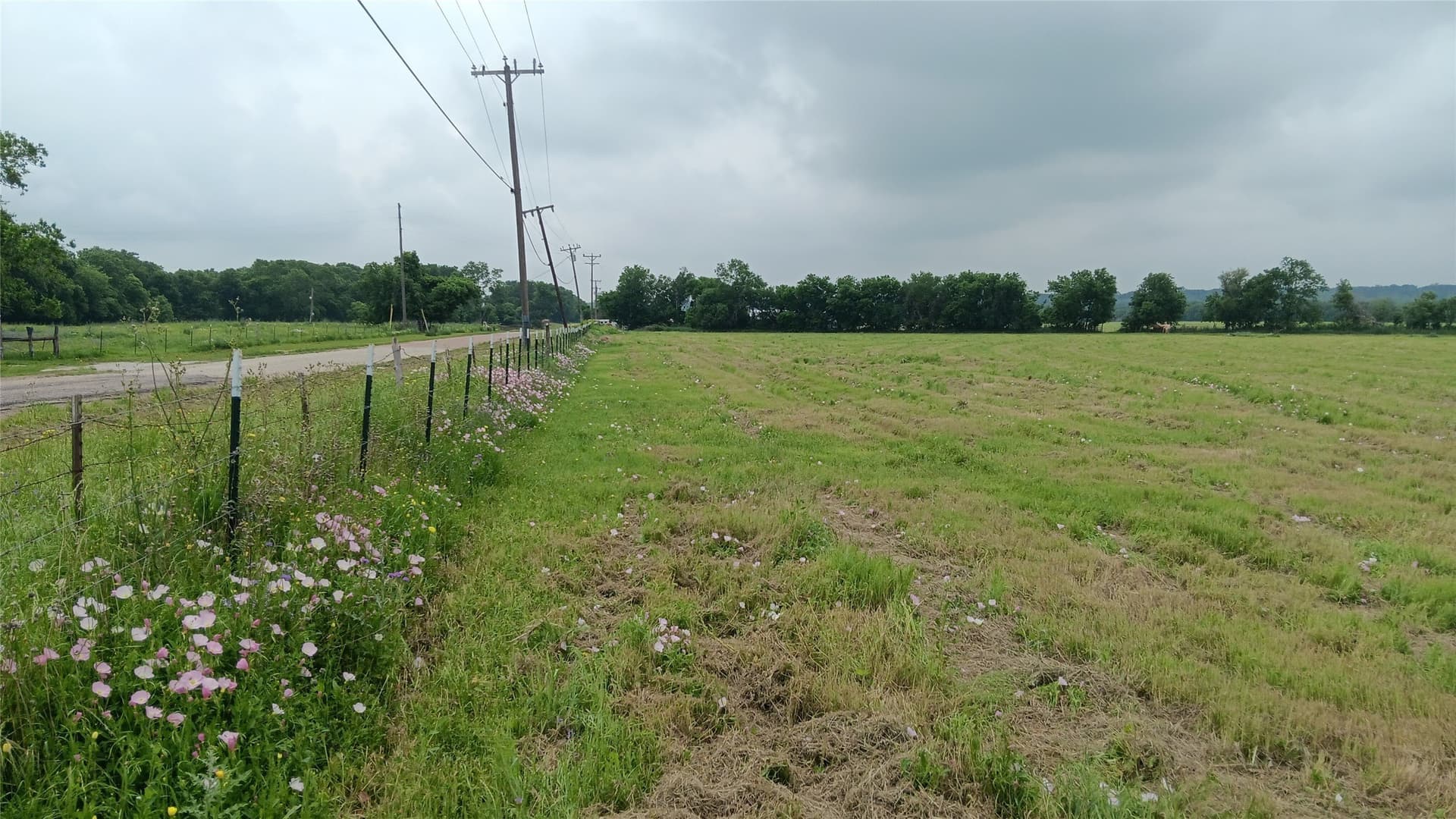 19.2 acres in Falls County - photo 6