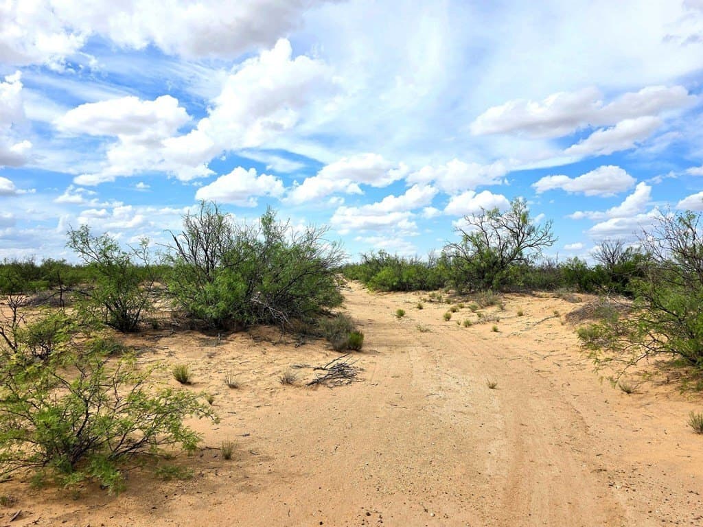 40 acres in Pecos County gallery image 2