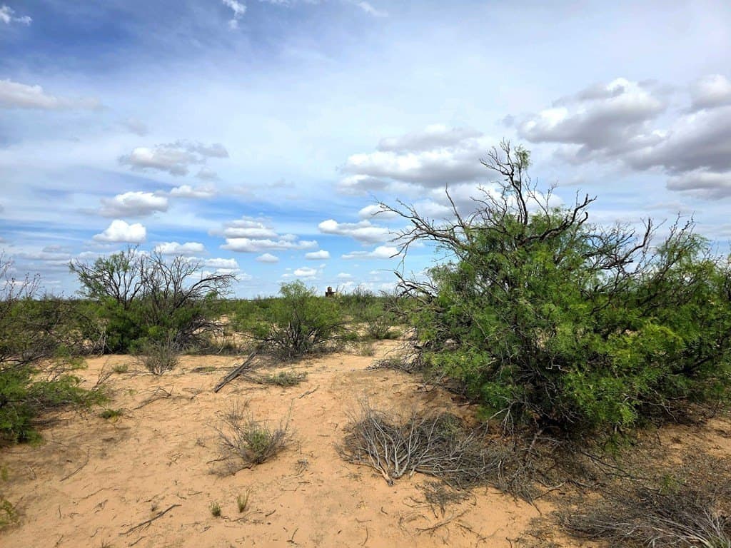 40 acres in Pecos County gallery image 3