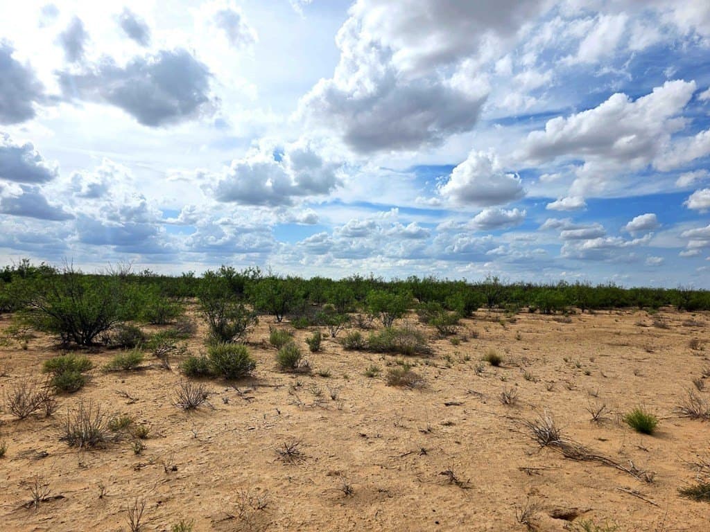 40 acres in Pecos County featured view