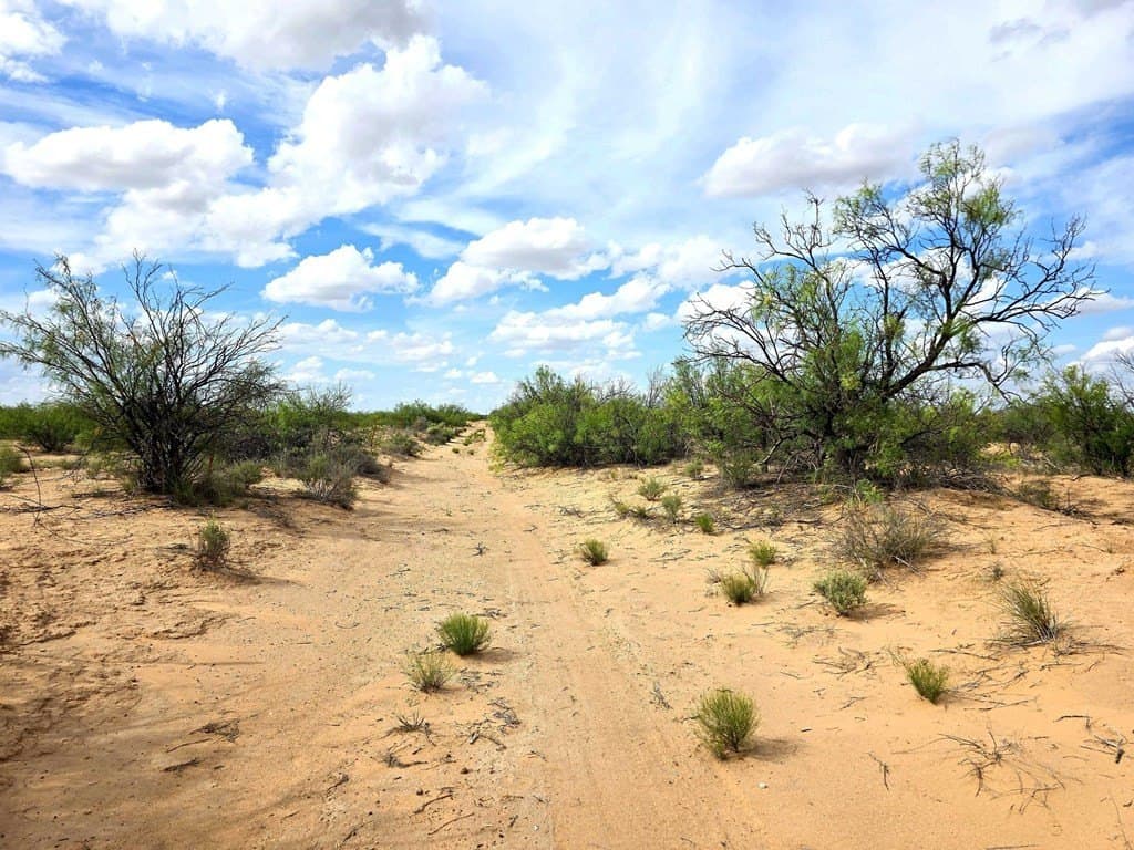 40 acres in Pecos County gallery image 4