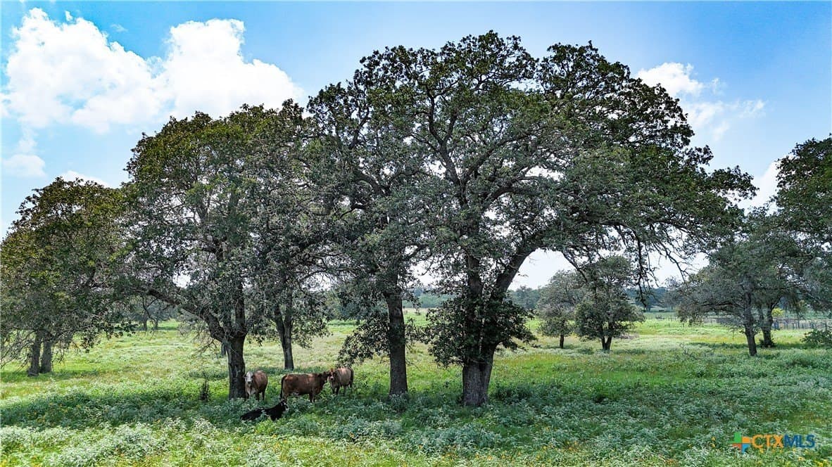10.01 acres in Gonzales County featured view
