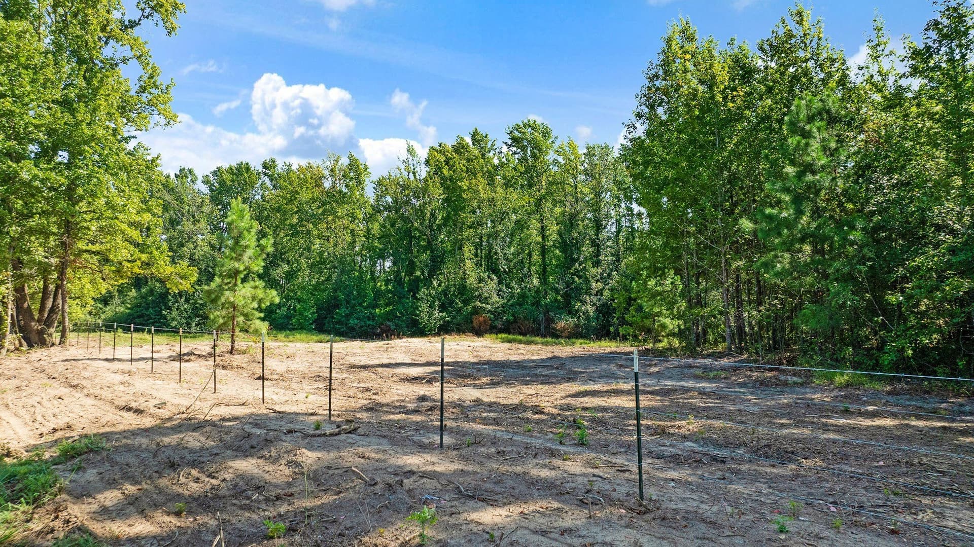 74.37 acres in Red River (TX) County - photo 14
