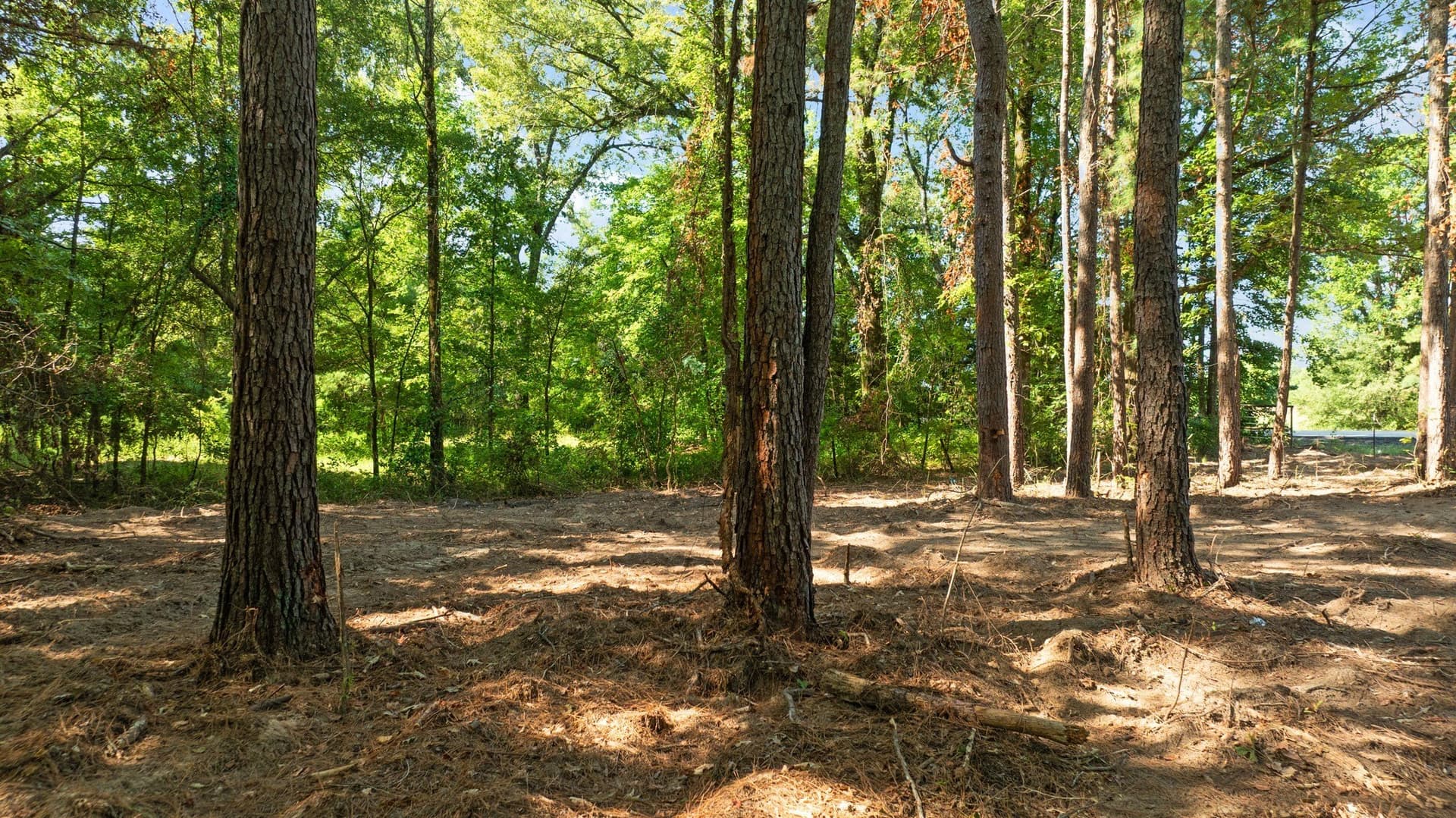 74.37 acres in Red River (TX) County - photo 16