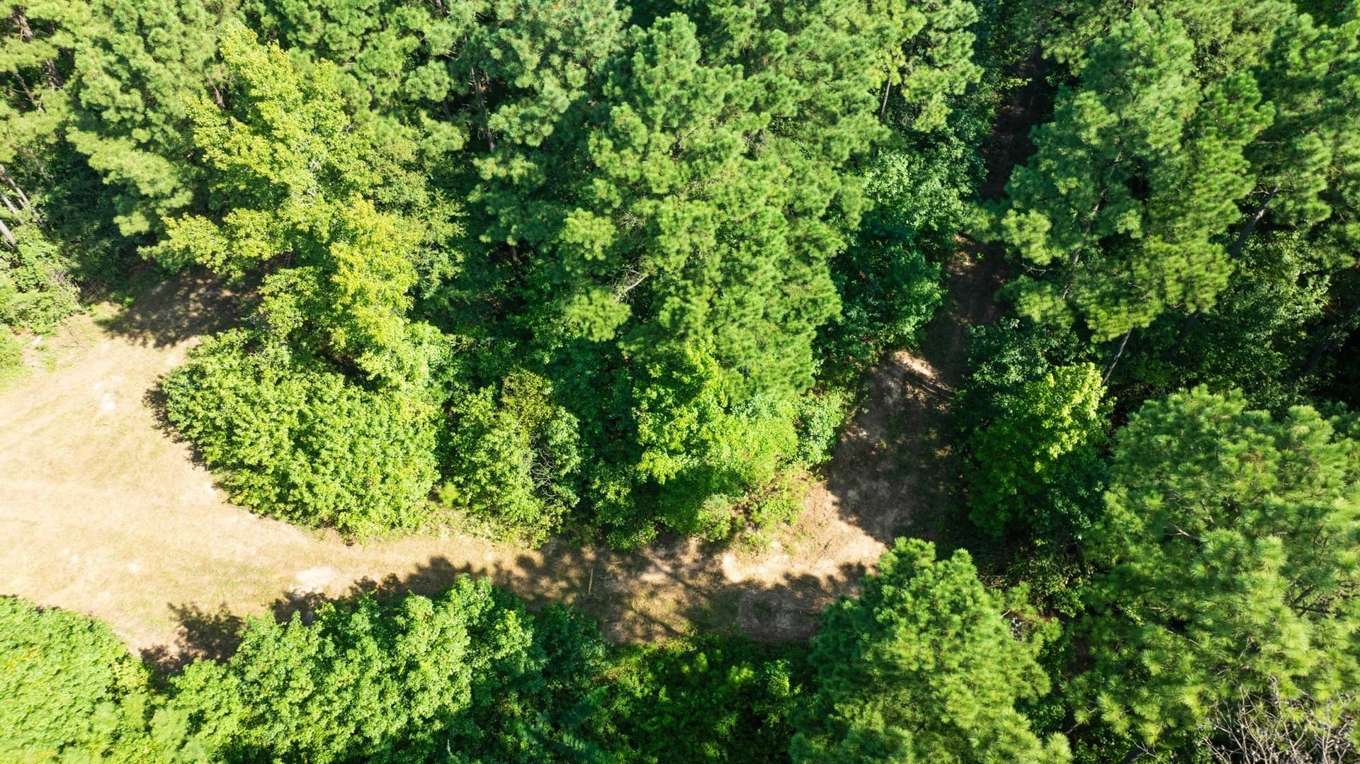 74.37 acres in Red River (TX) County - photo 11