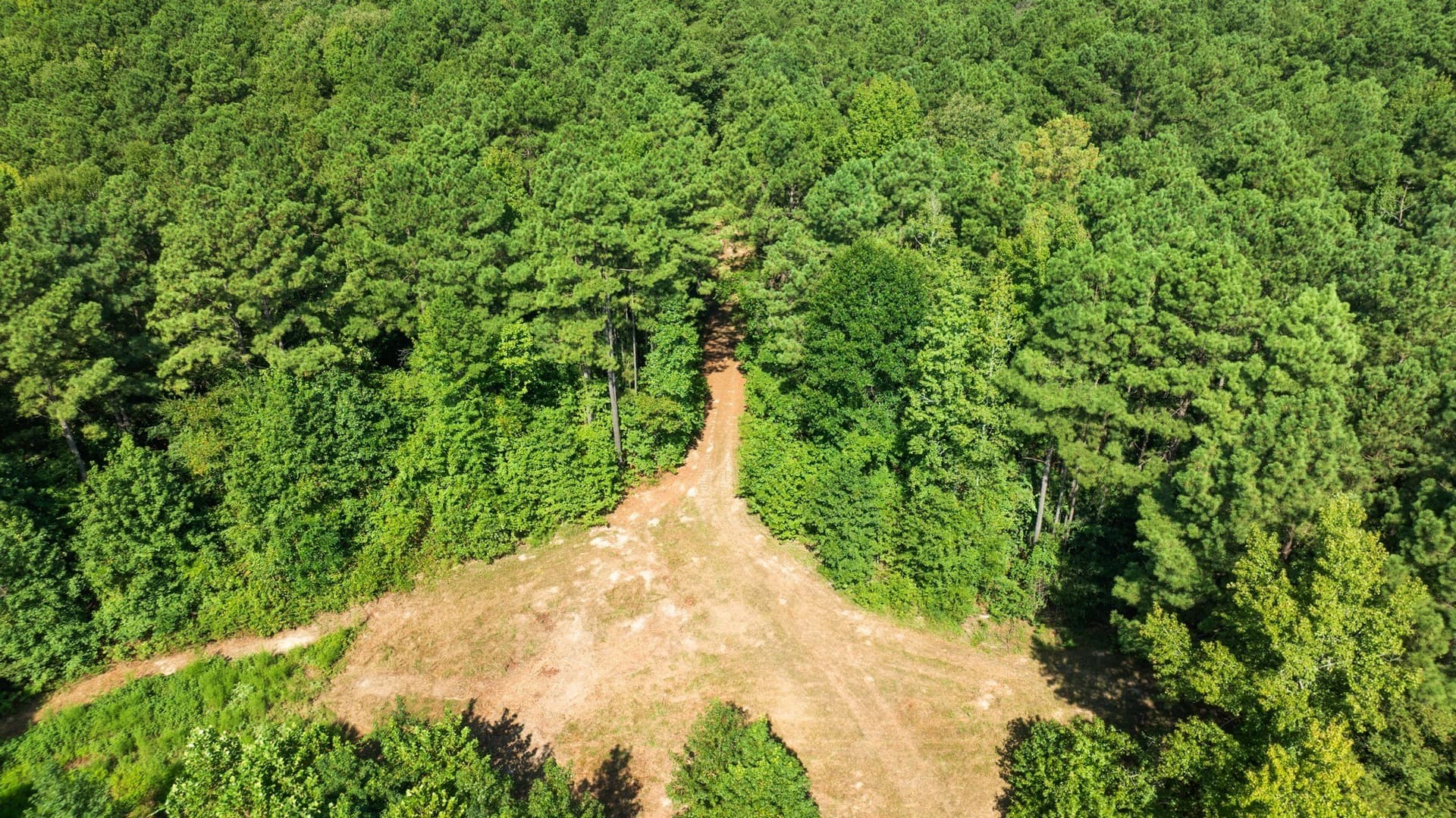 74.37 acres in Red River (TX) County - photo 12