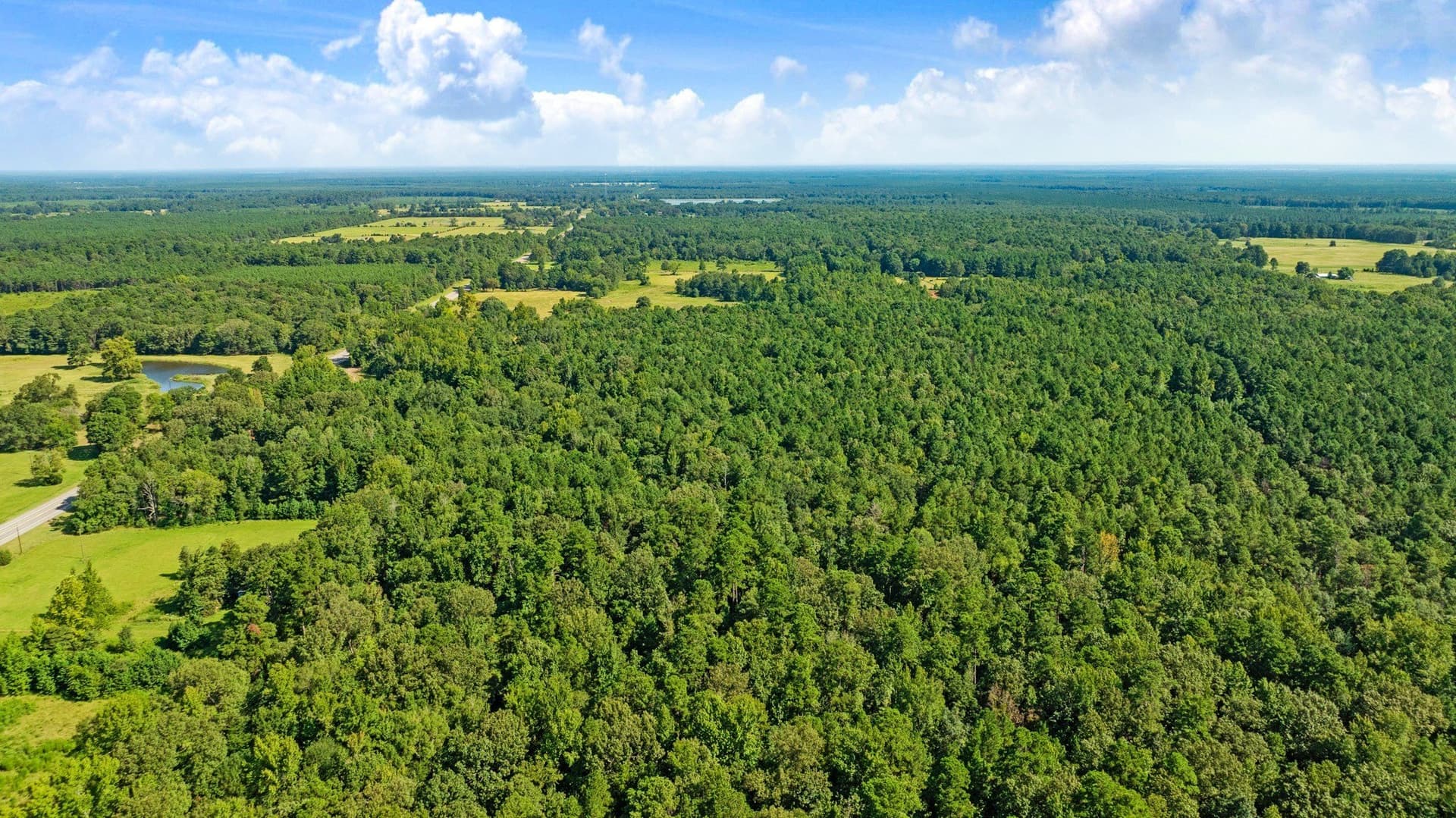 74.37 acres in Red River (TX) County - photo 6