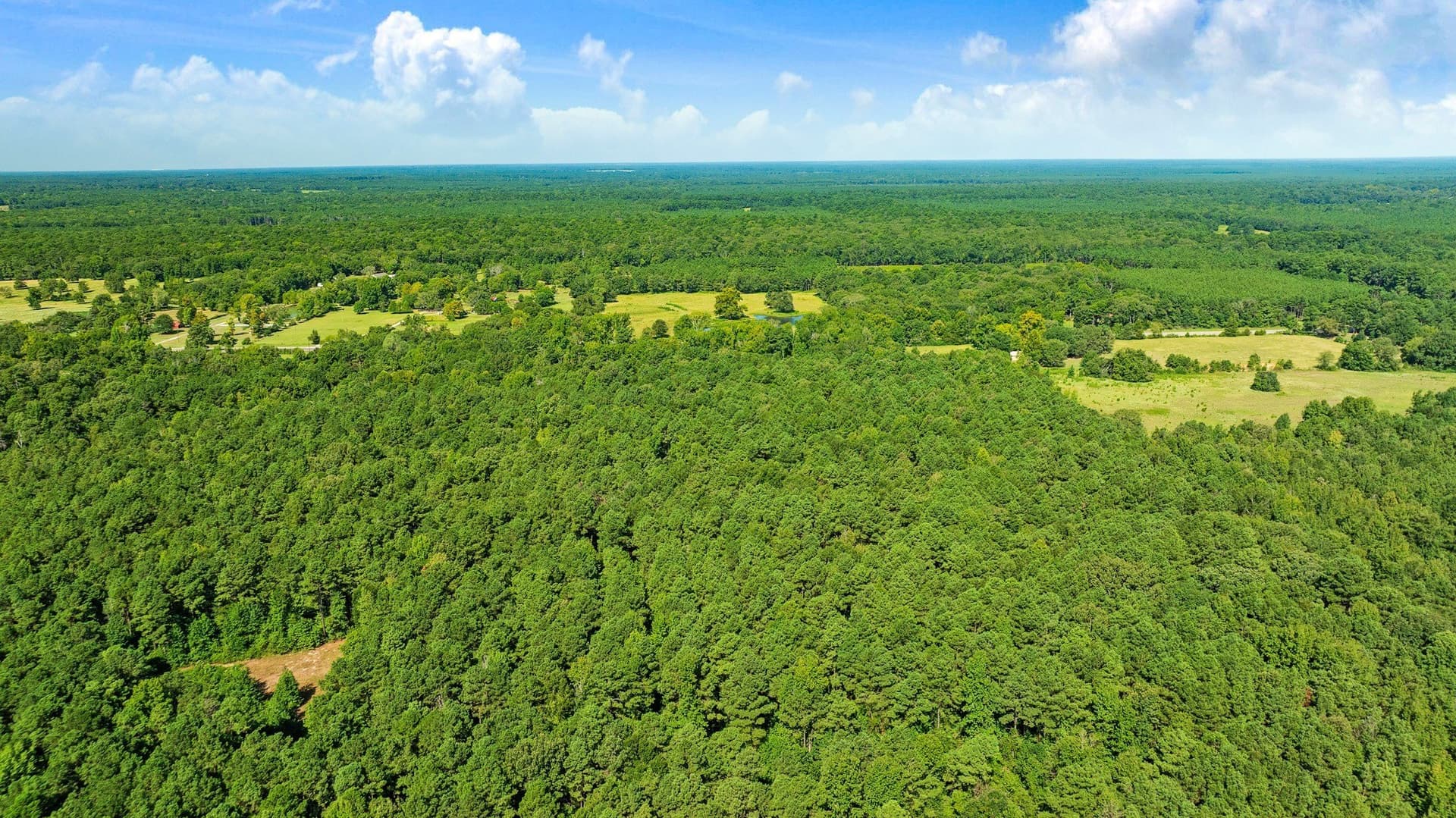 74.37 acres in Red River (TX) County - photo 8