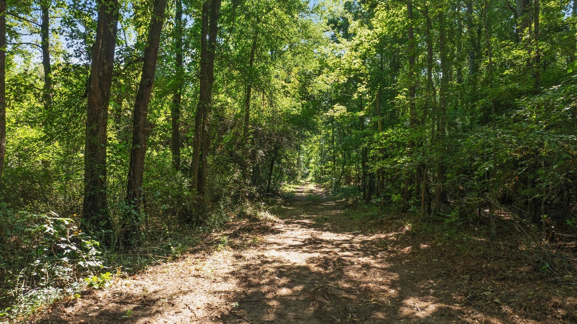 74.37 acres in Red River (TX) County - photo 17