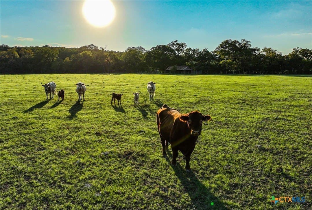 88.68 acres in Hays County - photo 21