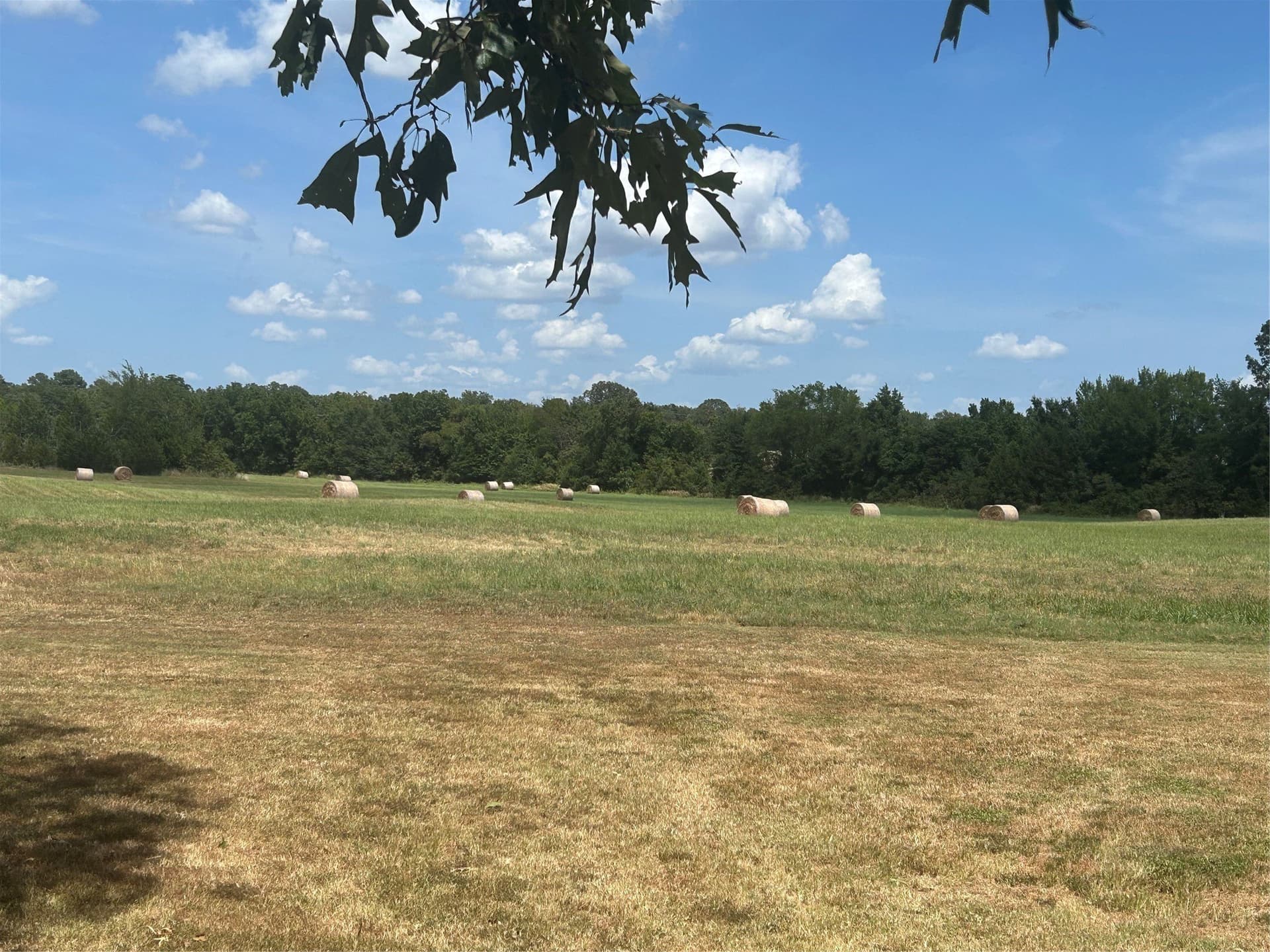 24.93 acres in Lamar County - photo 9