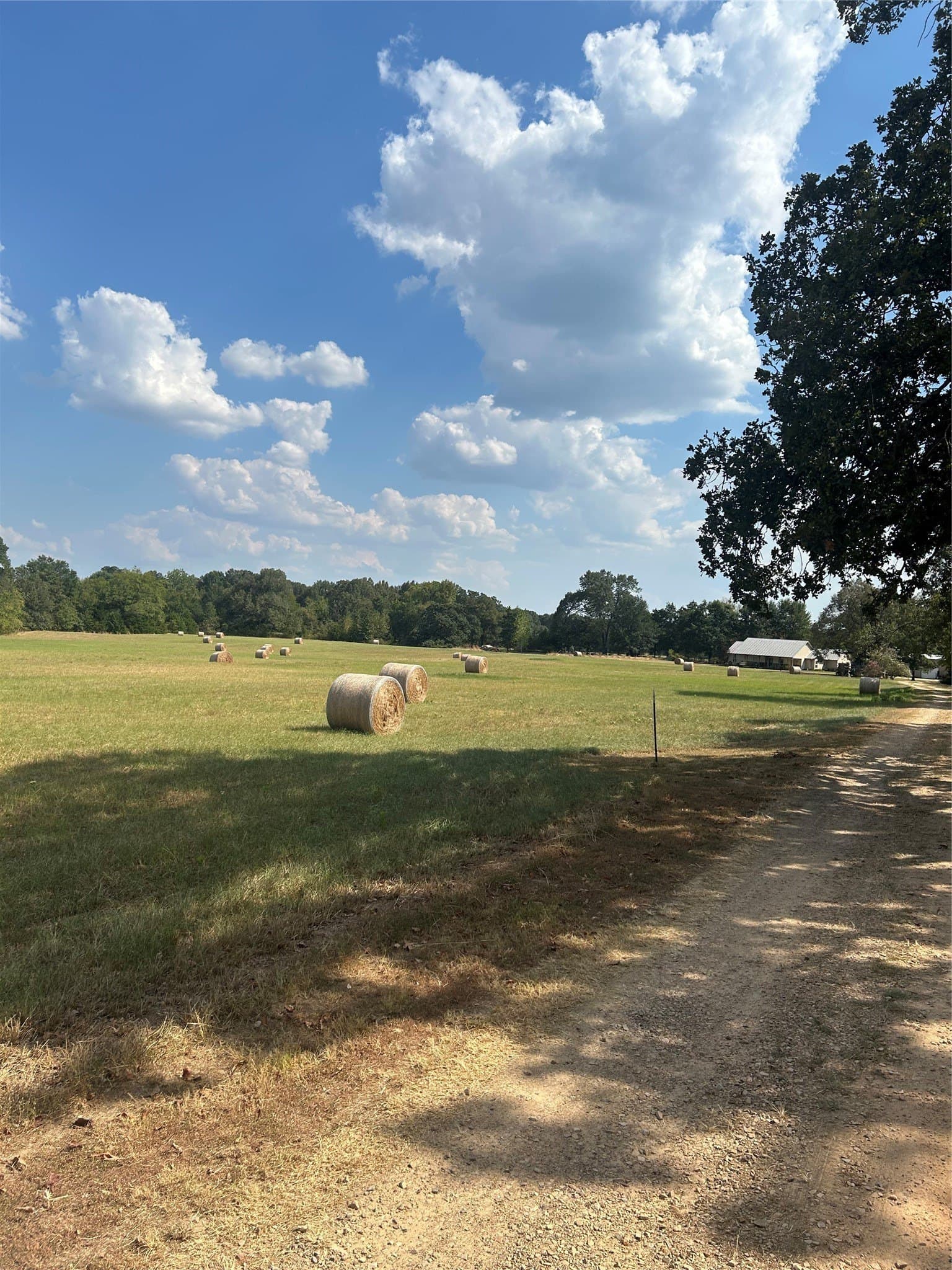 24.93 acres in Lamar County - photo 10