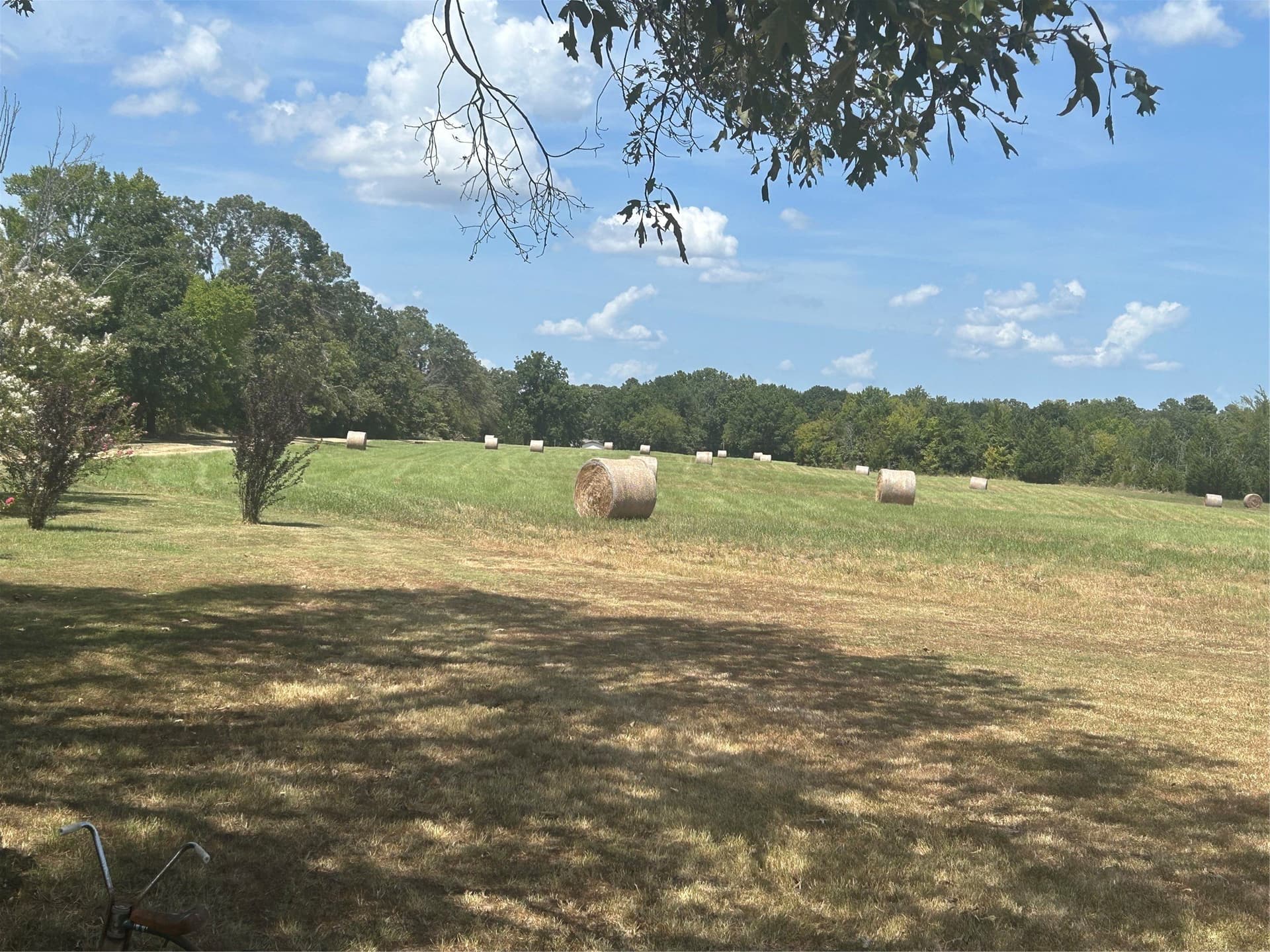 24.93 acres in Lamar County - photo 8