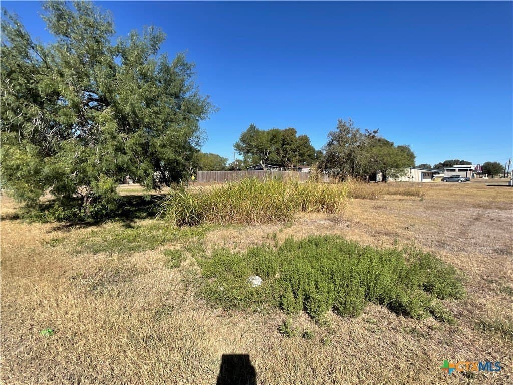 0.34 acres in DeWitt County gallery image 2